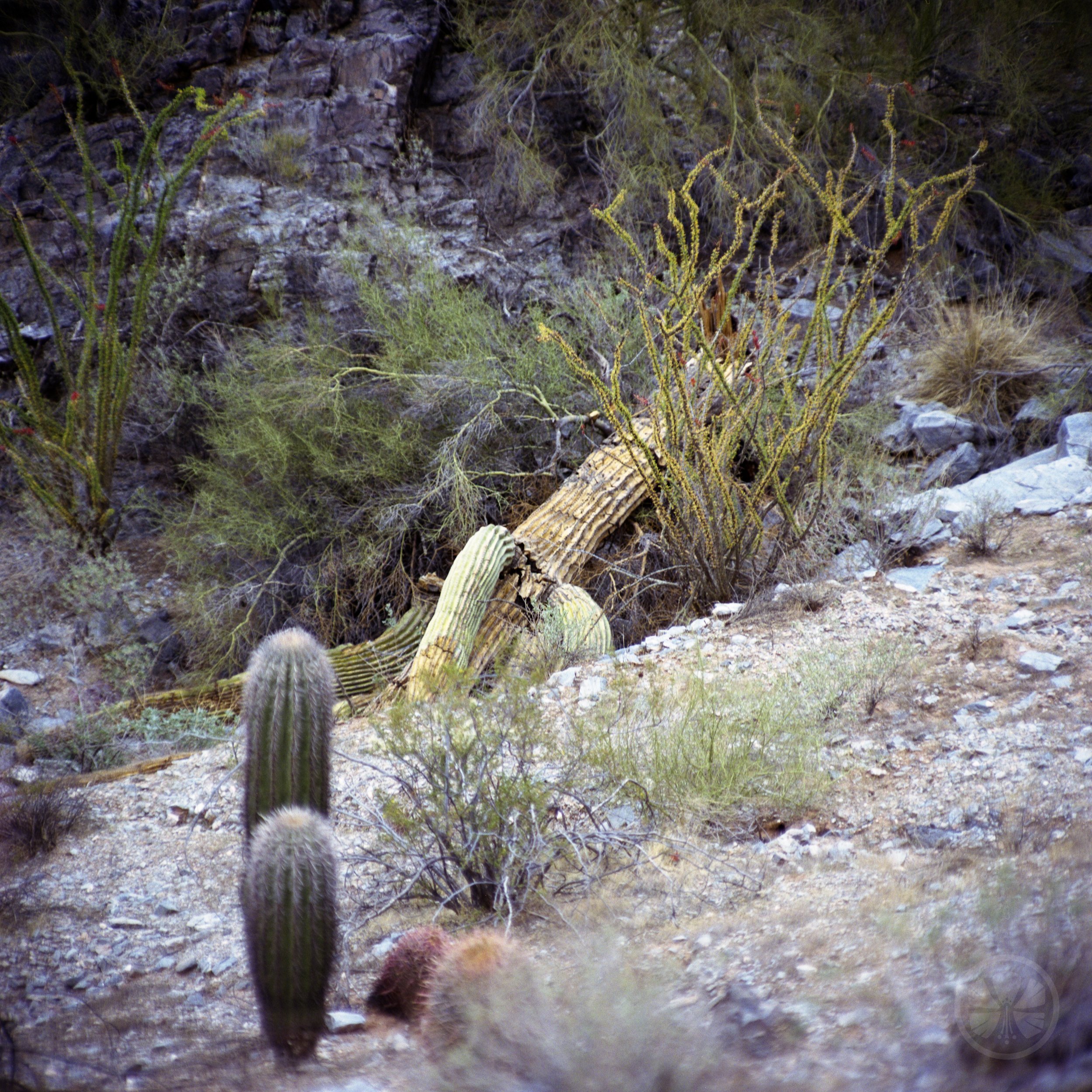 Roll04-002.jpg