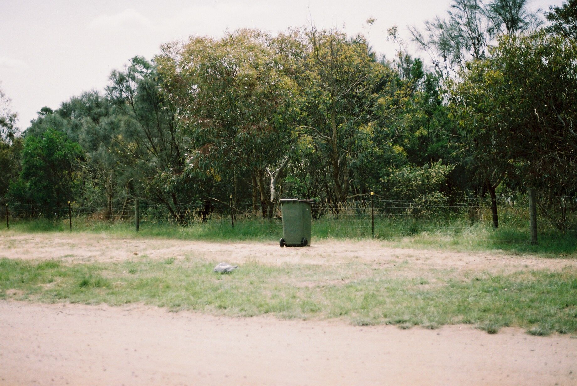 unspecified-4.jpg