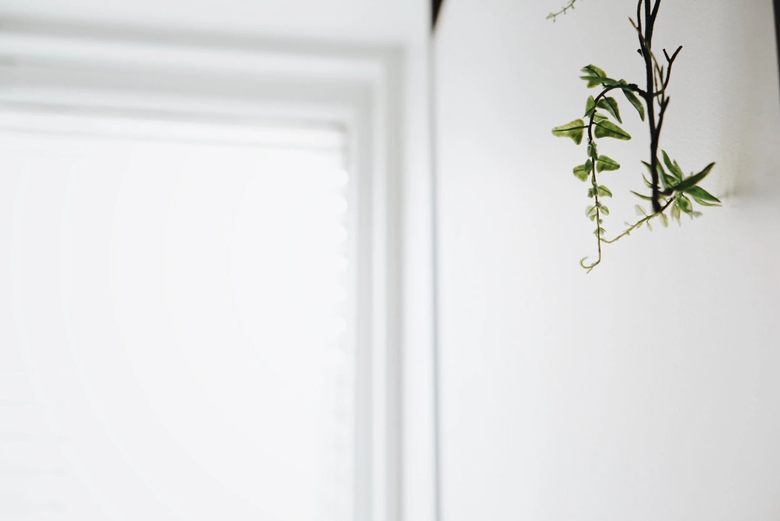 B7858456-54C2-4C3C-9112-B794F44915C6.JPG
