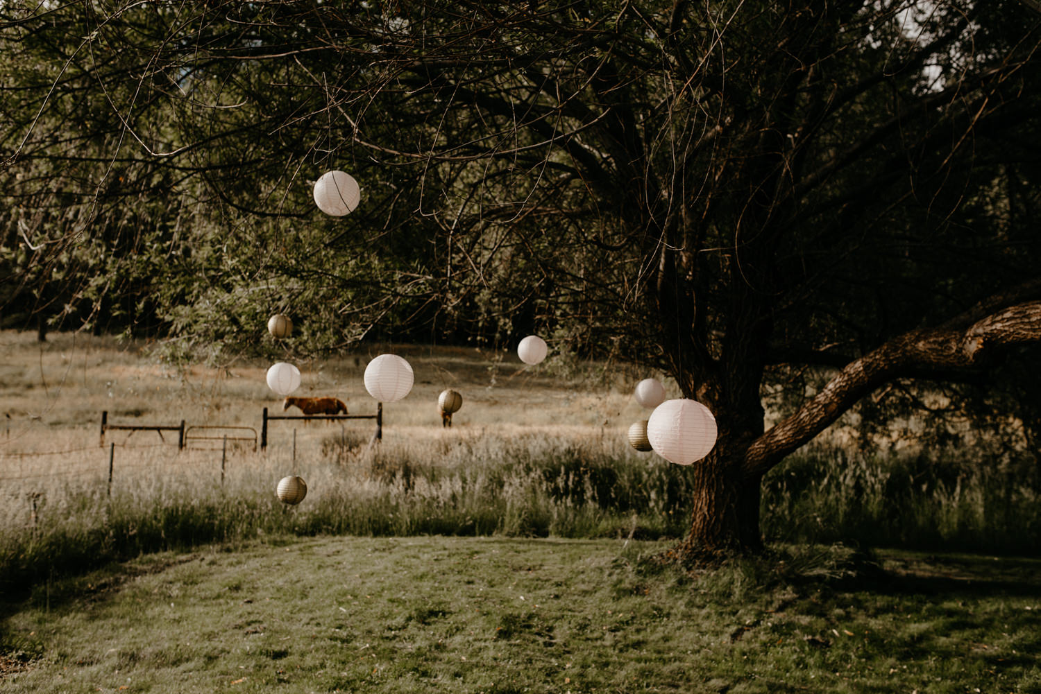 ceremony site