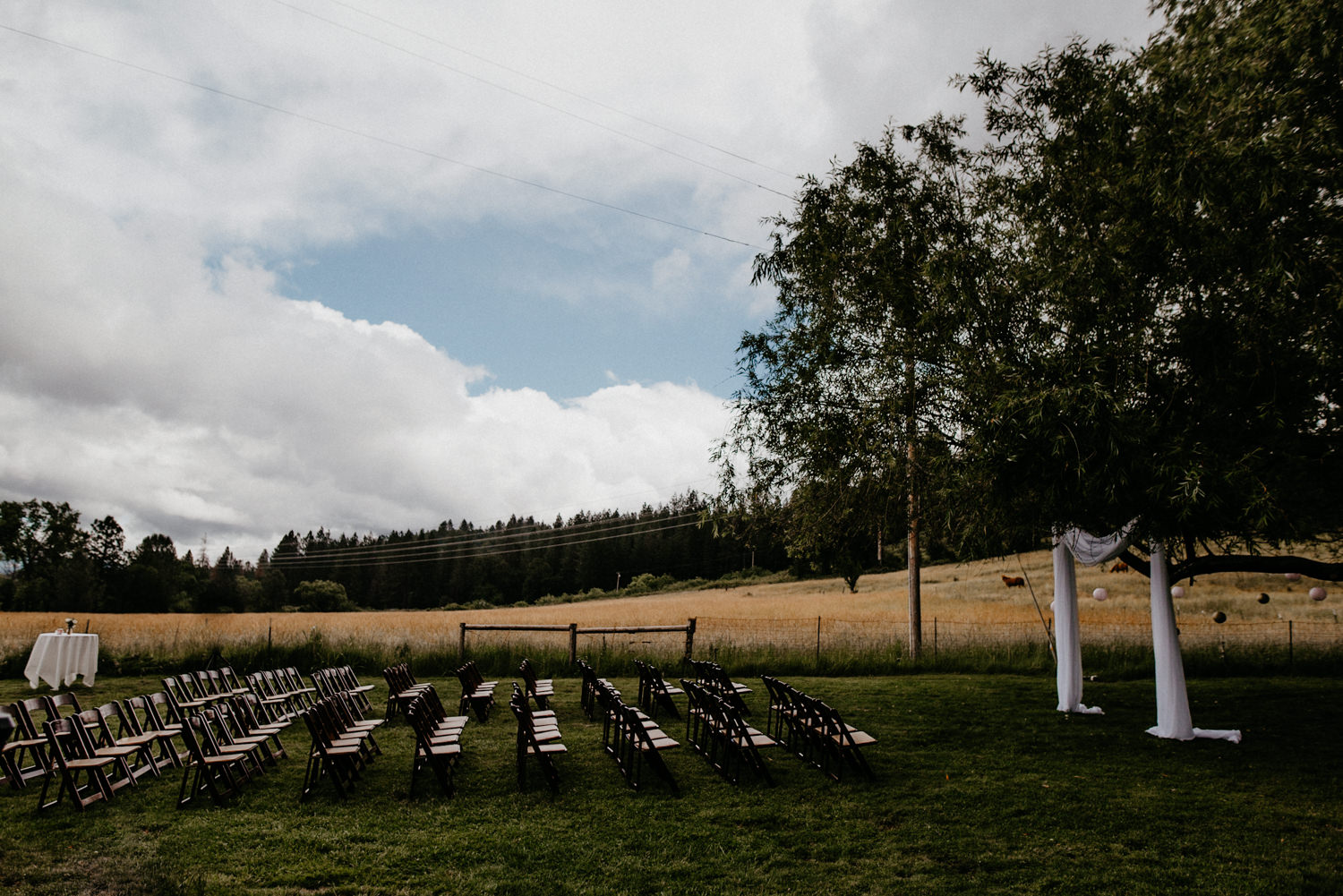 Luke and Brittany Backyard Wedding Redding Northern California-99.jpg