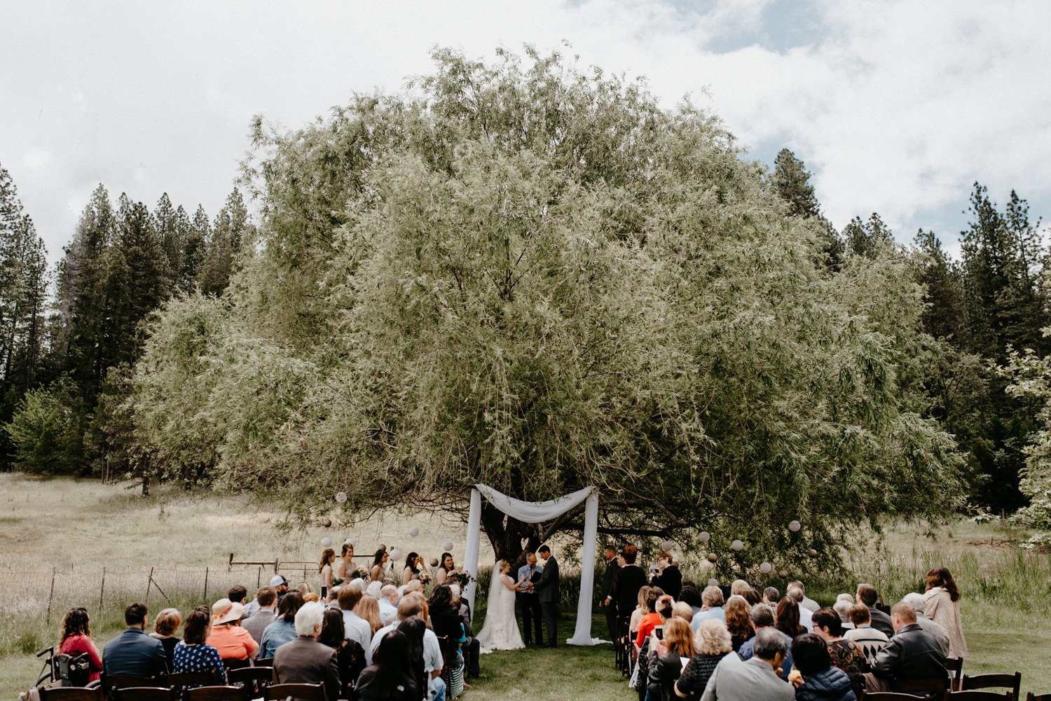 Luke and Brittany Backyard Wedding Redding Northern California-108.jpg