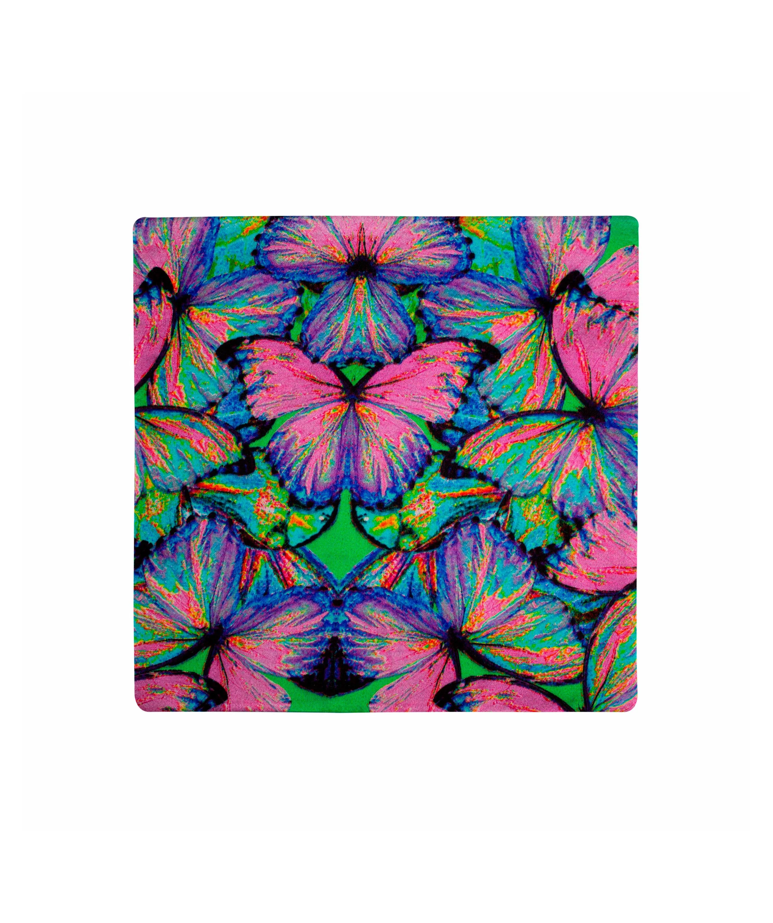 Butterfly_2..jpg