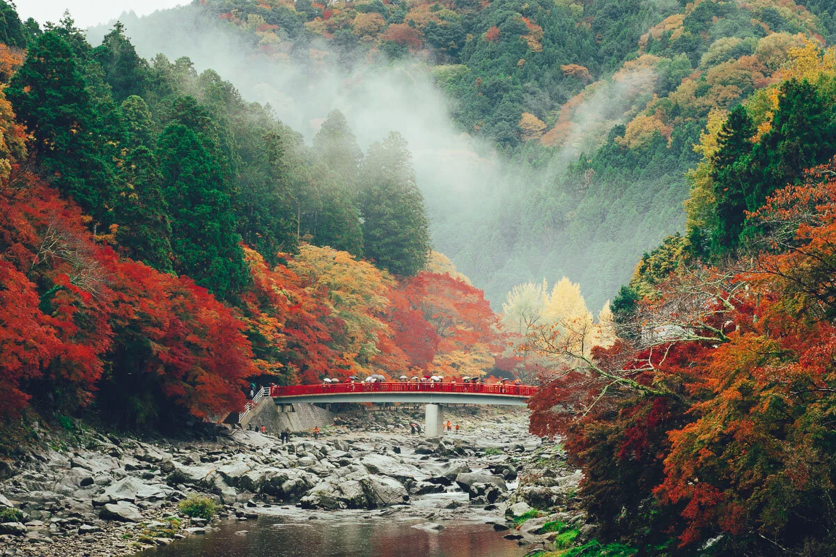 Korankei Momiji