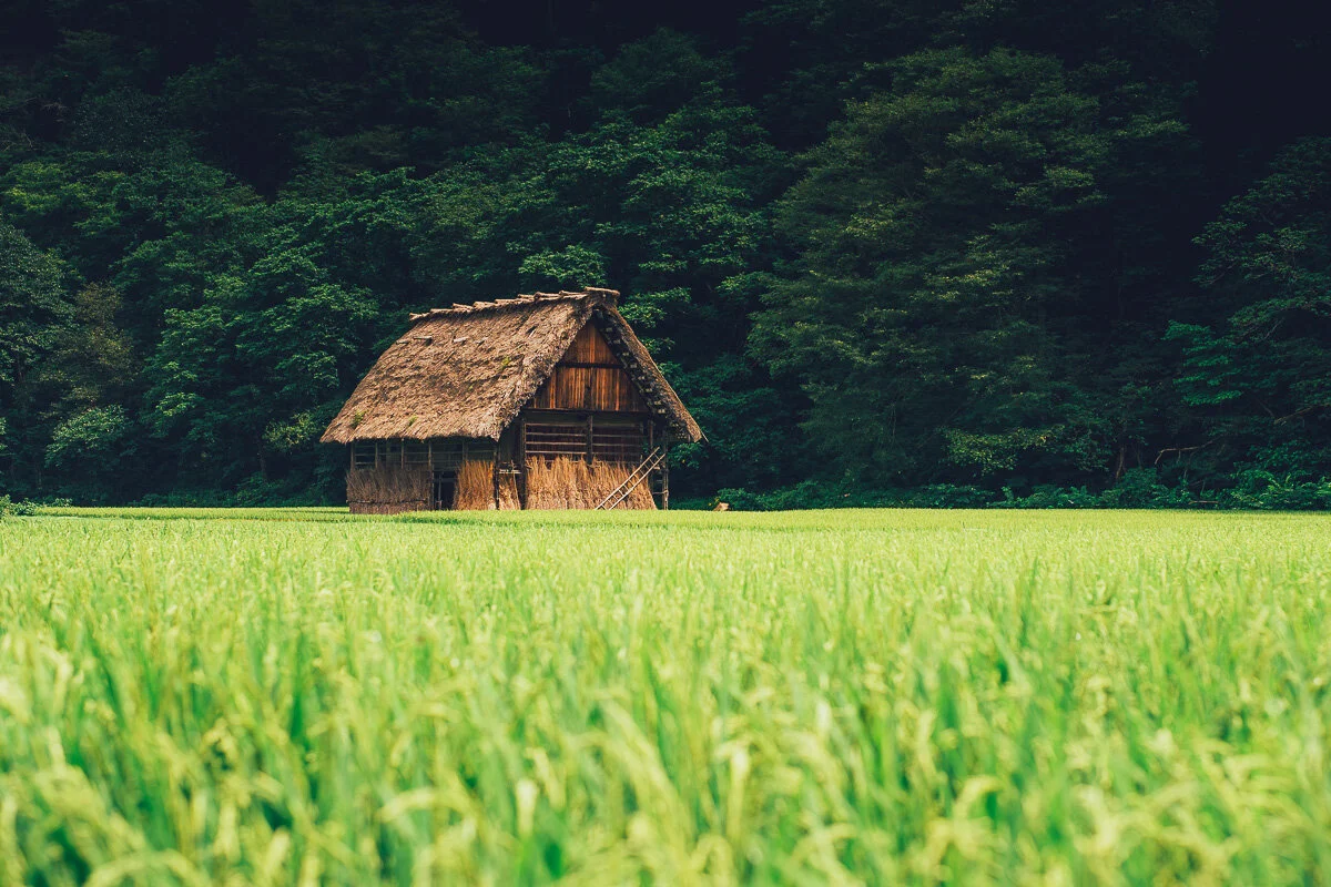 Shirakawago -2027.jpg