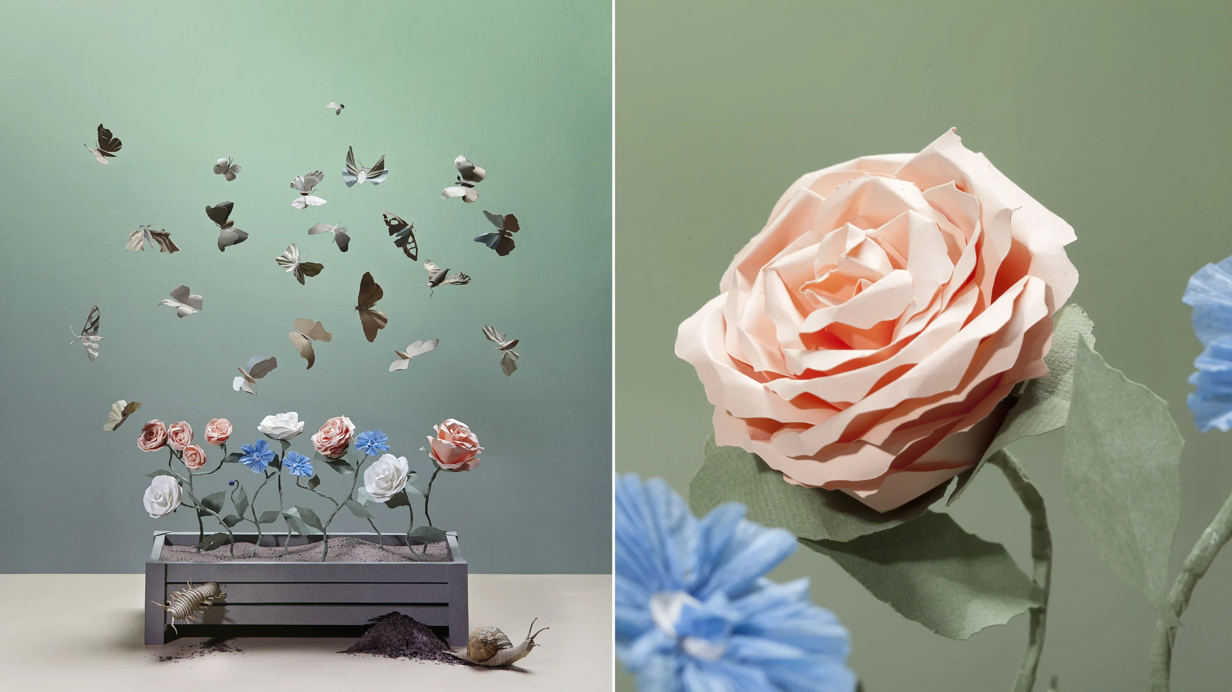 Flowerbox