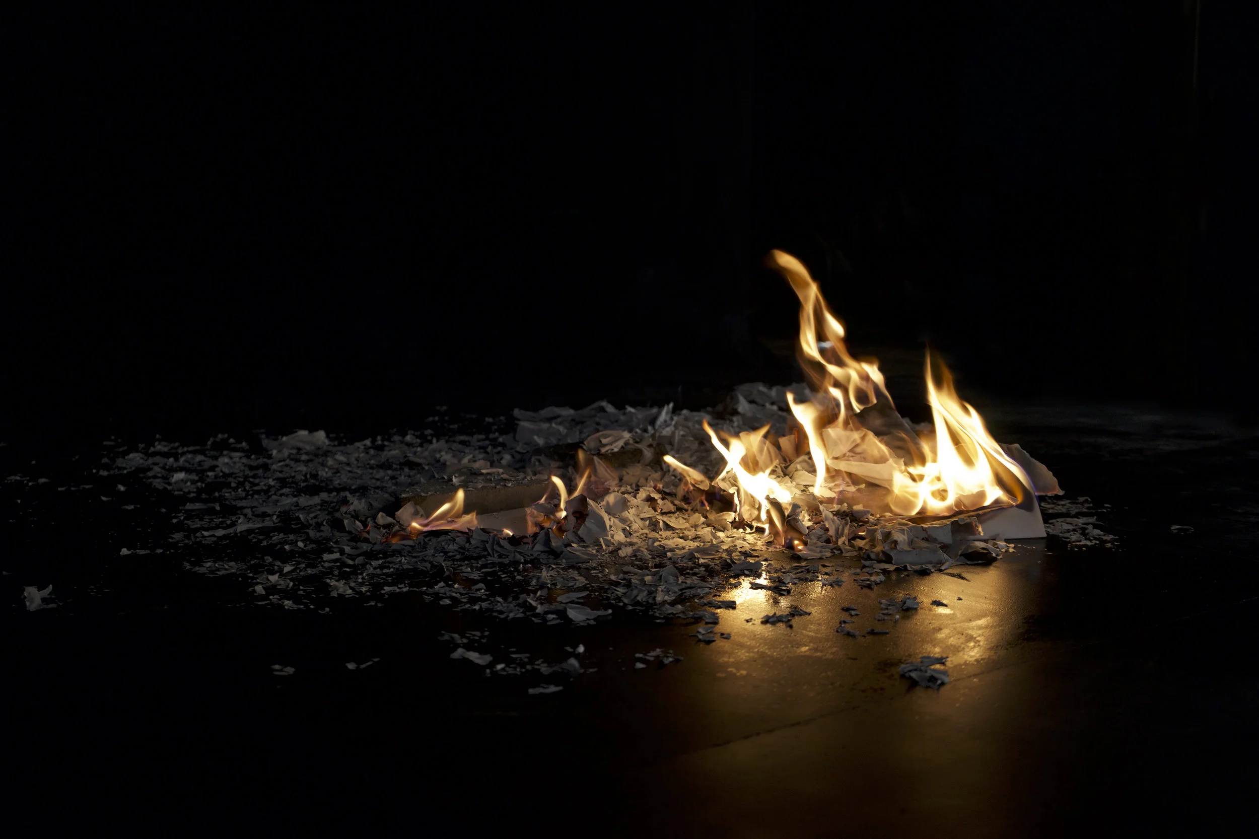 'A New Reality' - VR art installation