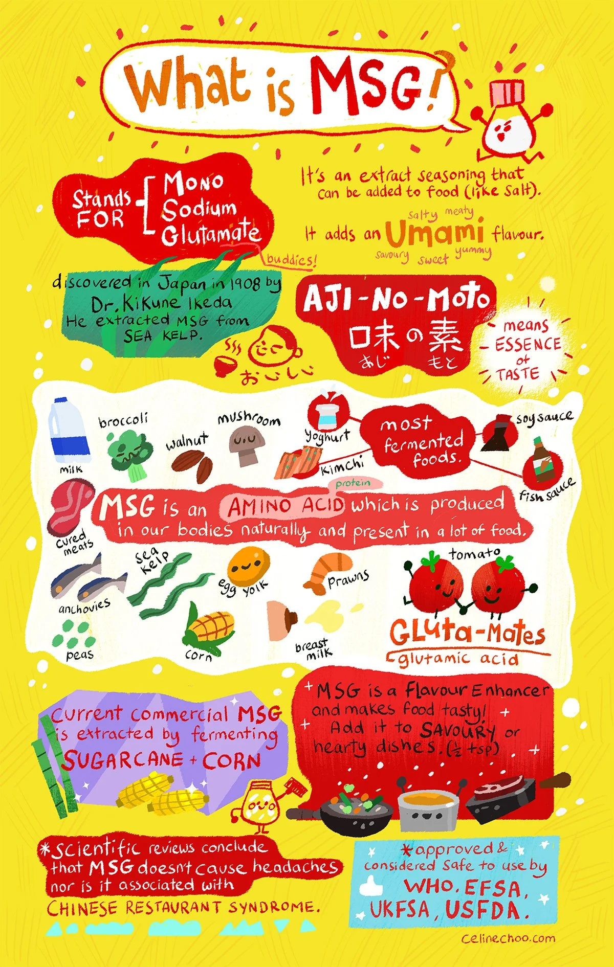 what is MSG_revised.jpg