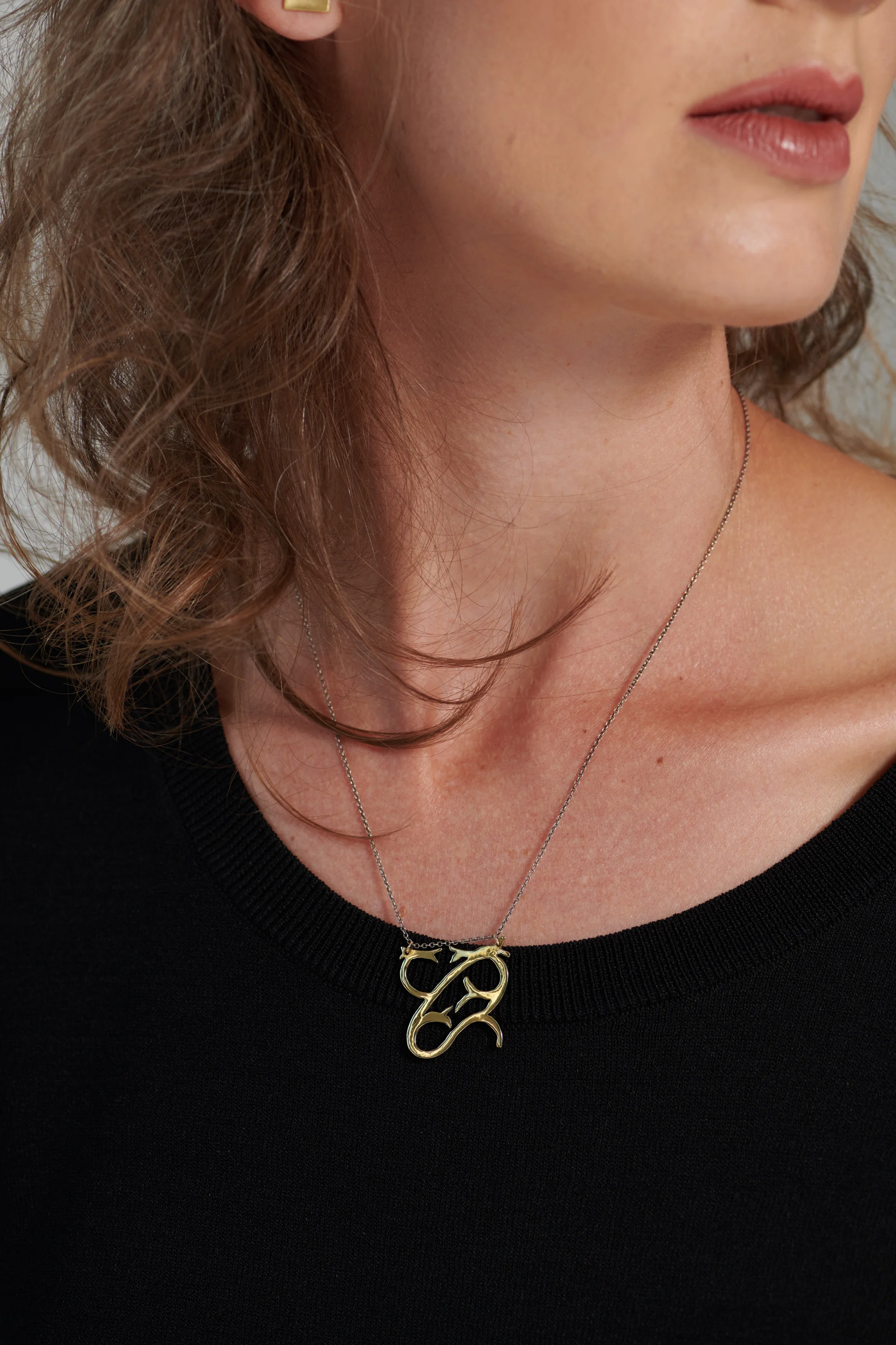 The Solid State0626.jpg