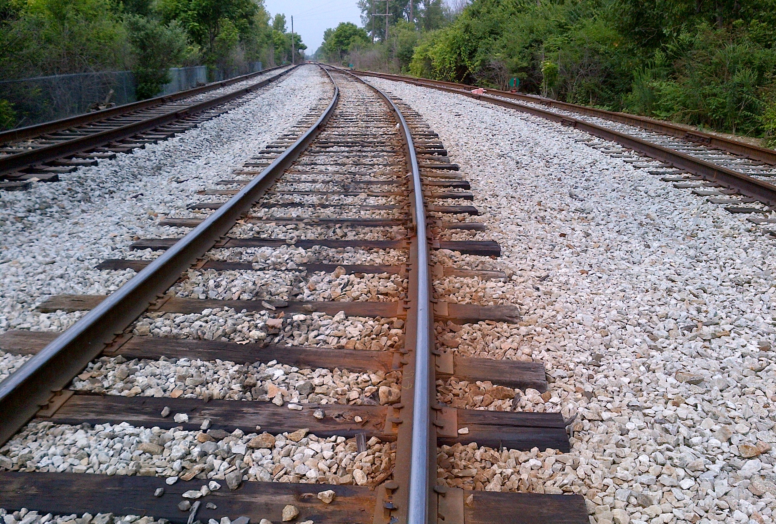 Lead looking west mid-curve before.jpg