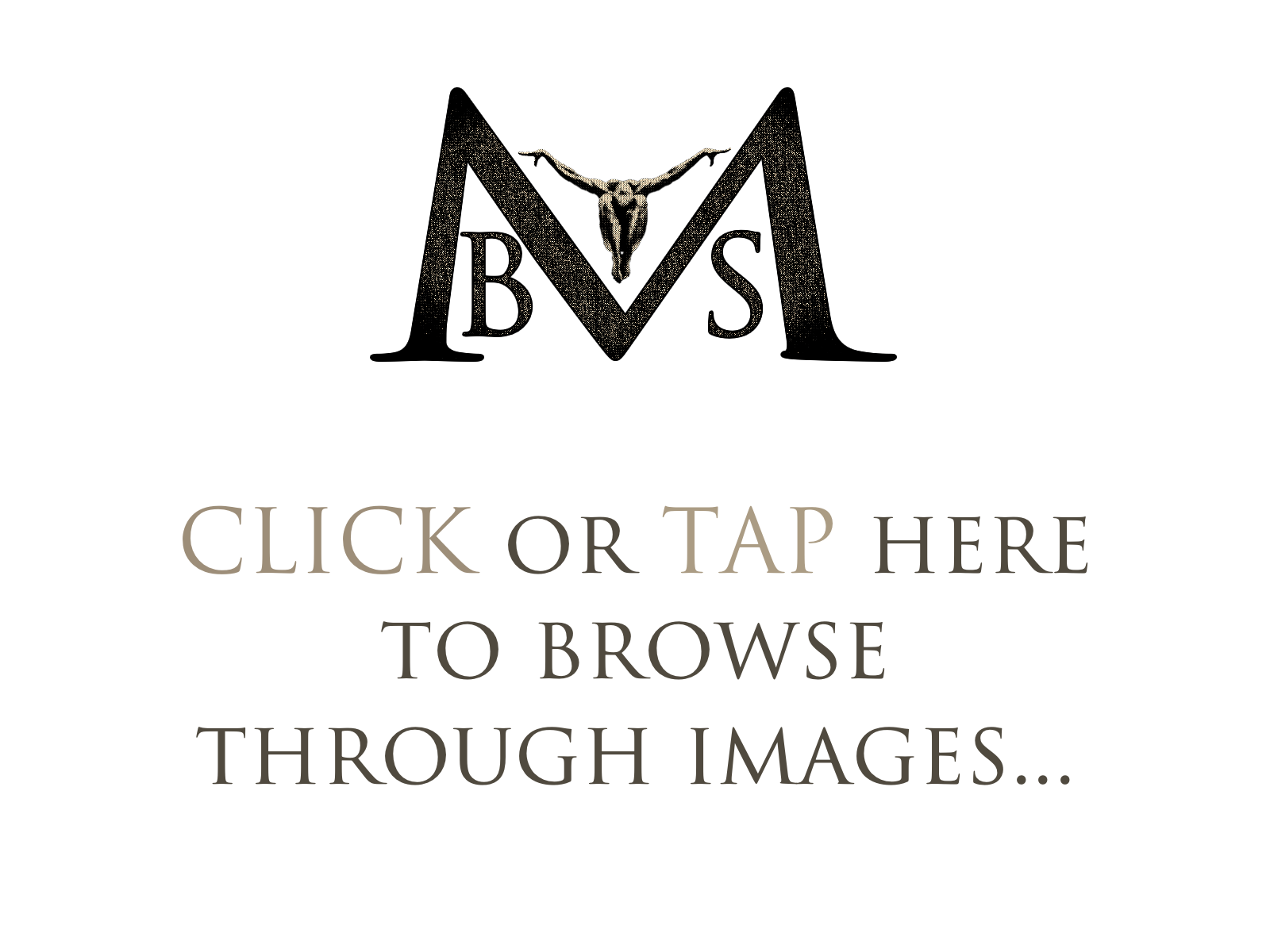 mbs gallery cover.png