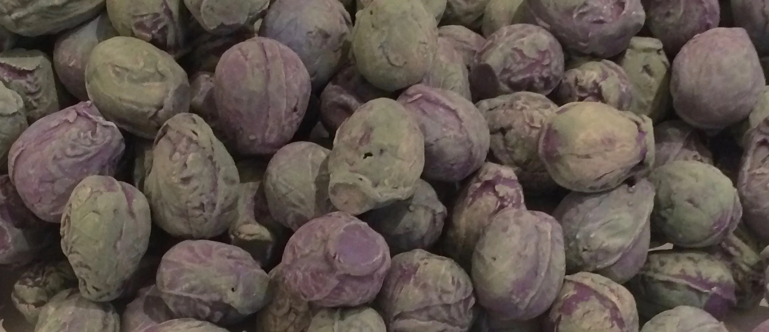 Detail of cast Brussels sprouts sculptures by Chelsea Tinklenberg, 2019