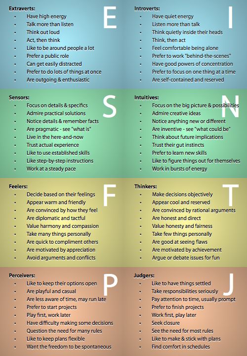 Hinaichi MBTI Personality Type: ESTJ or ESTP?