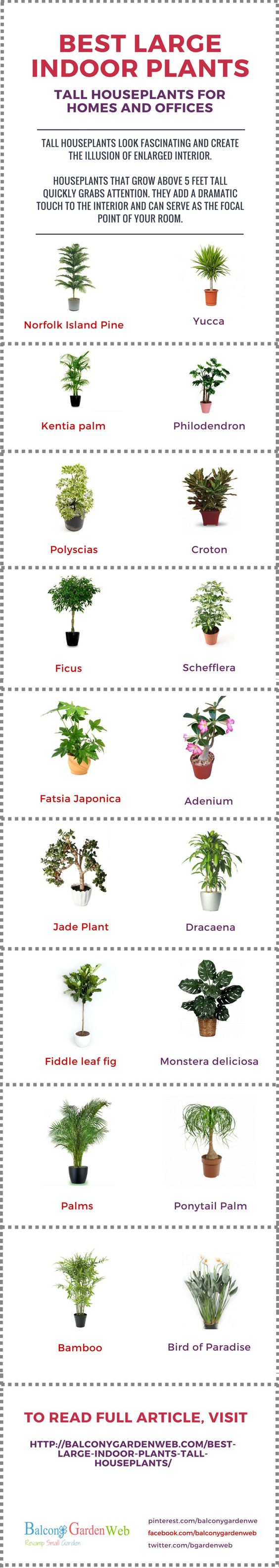 House Plant Chart