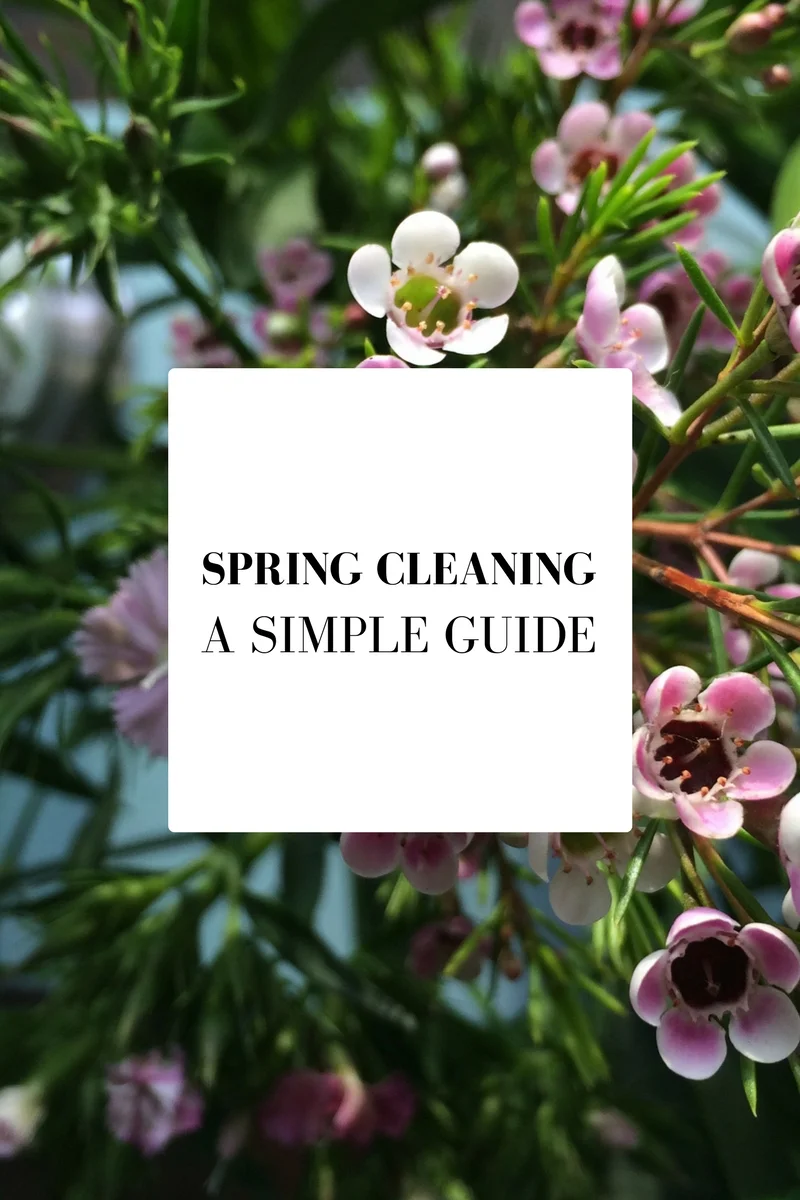 A Simple Spring Cleaning Guide