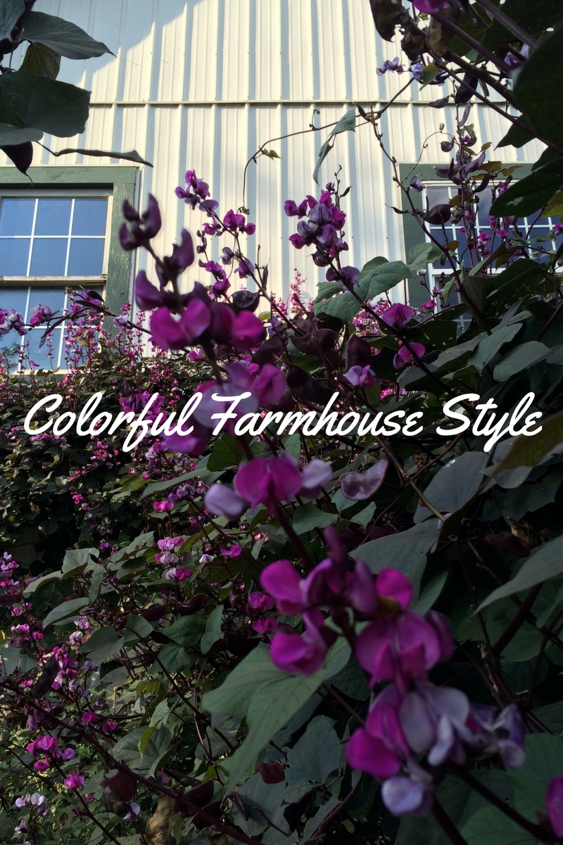 Colorful Farmhouse Style