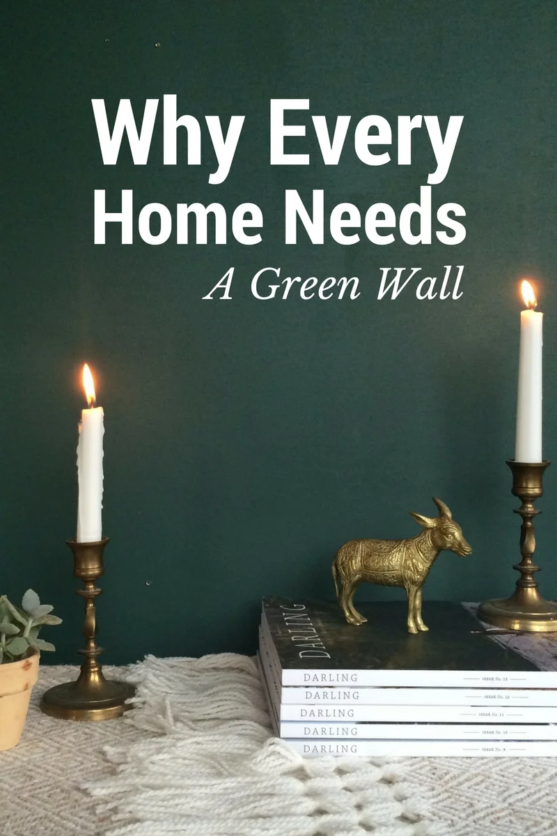 Why Every Home Needs A Green Wall