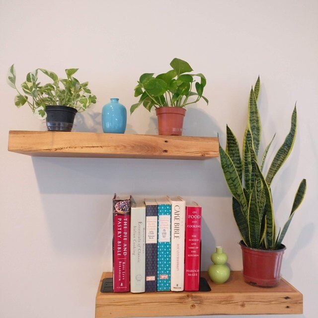 https://i.etsystatic.com/6598191/r/il/246244/1790659228/il_fullxfull.1790659228_phgz.jpg