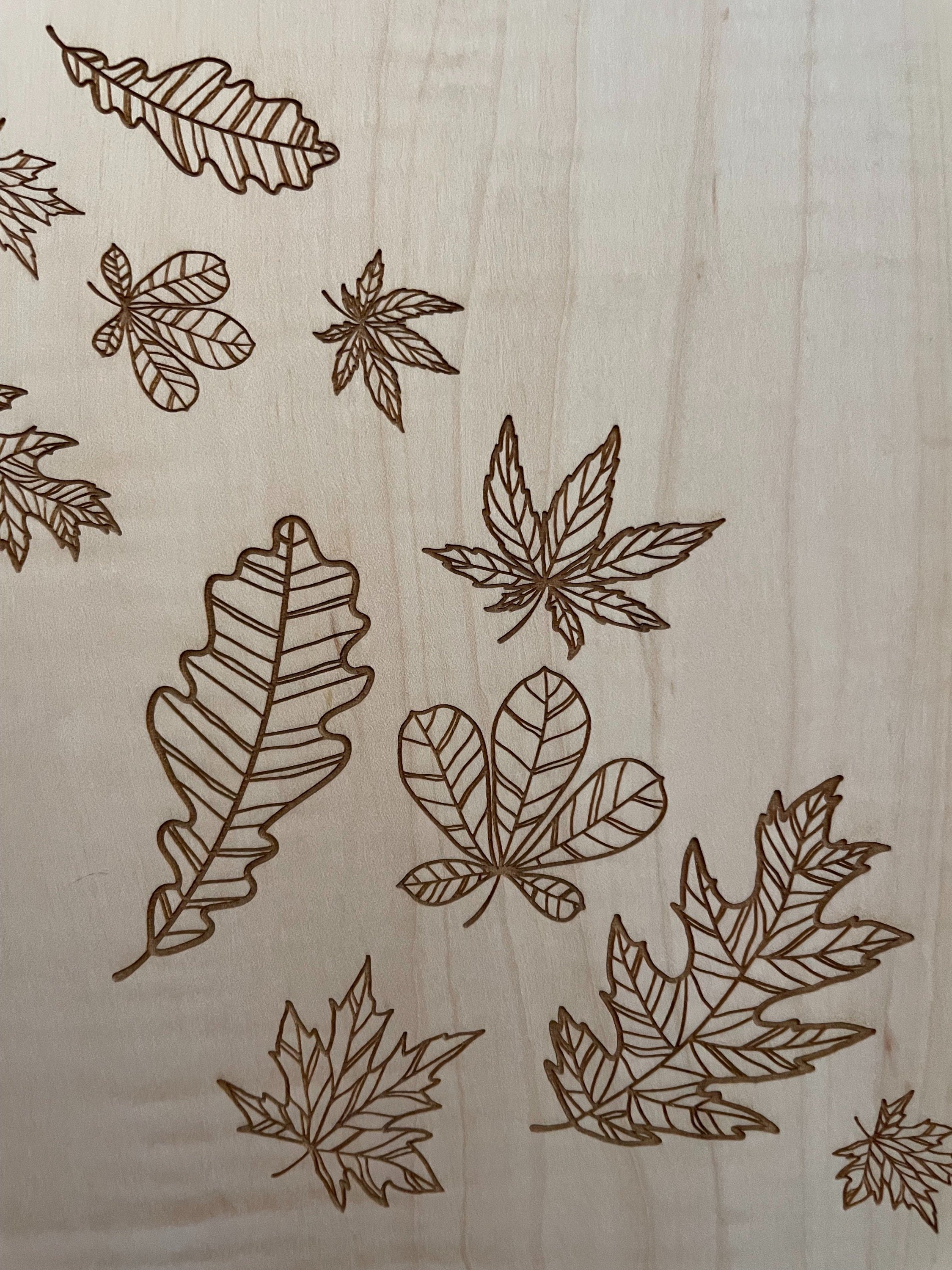 https://i.etsystatic.com/6598191/r/il/b4d10d/4128020989/il_fullxfull.4128020989_7m23.jpg