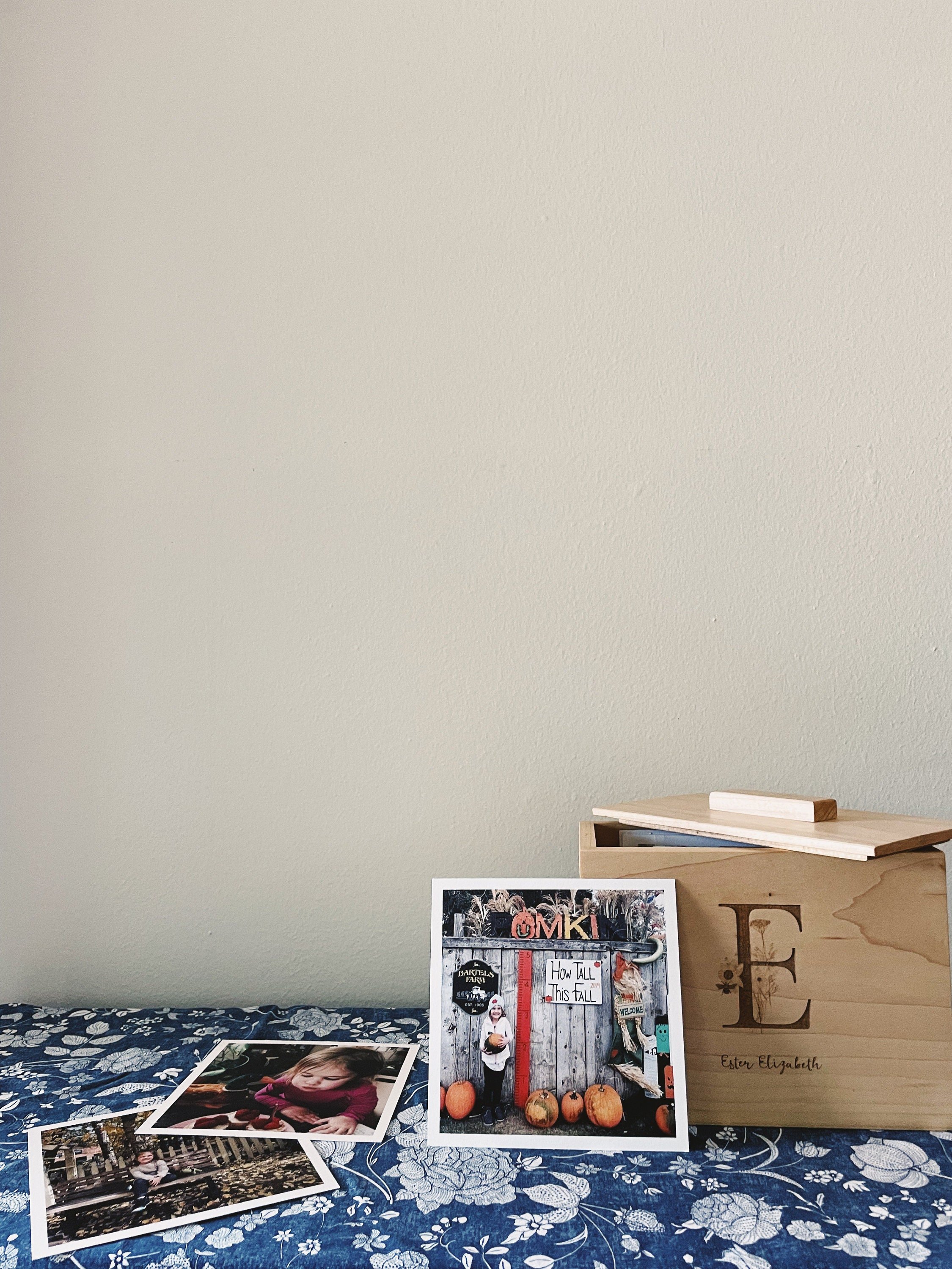 https://i.etsystatic.com/6598191/r/il/808c9b/4029103904/il_fullxfull.4029103904_joiq.jpg