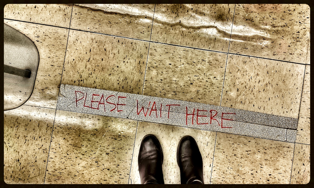 Walking It.jpg
