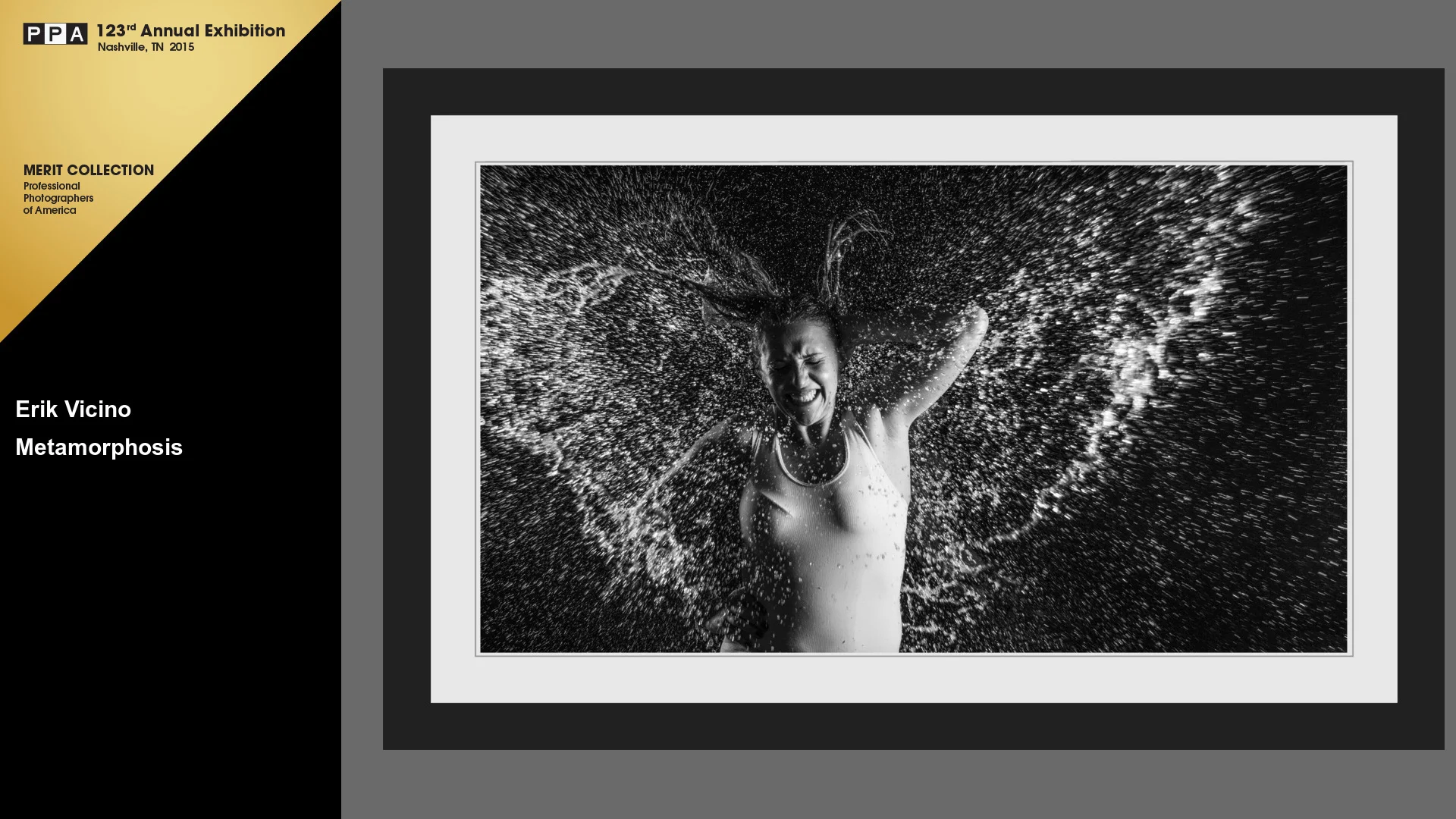 "Metamorphosis" - Exhibida del 1 al 3 de Febrero de 2015 en Imaging USA