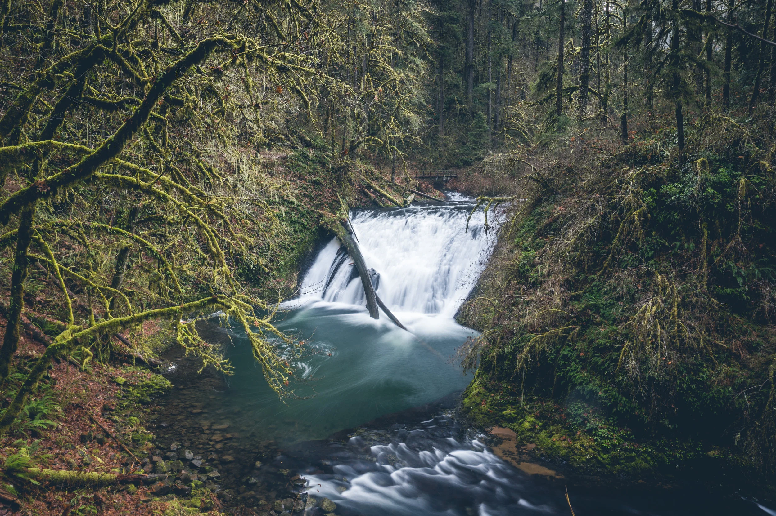 Silver Falls State Park - Silverton, OR