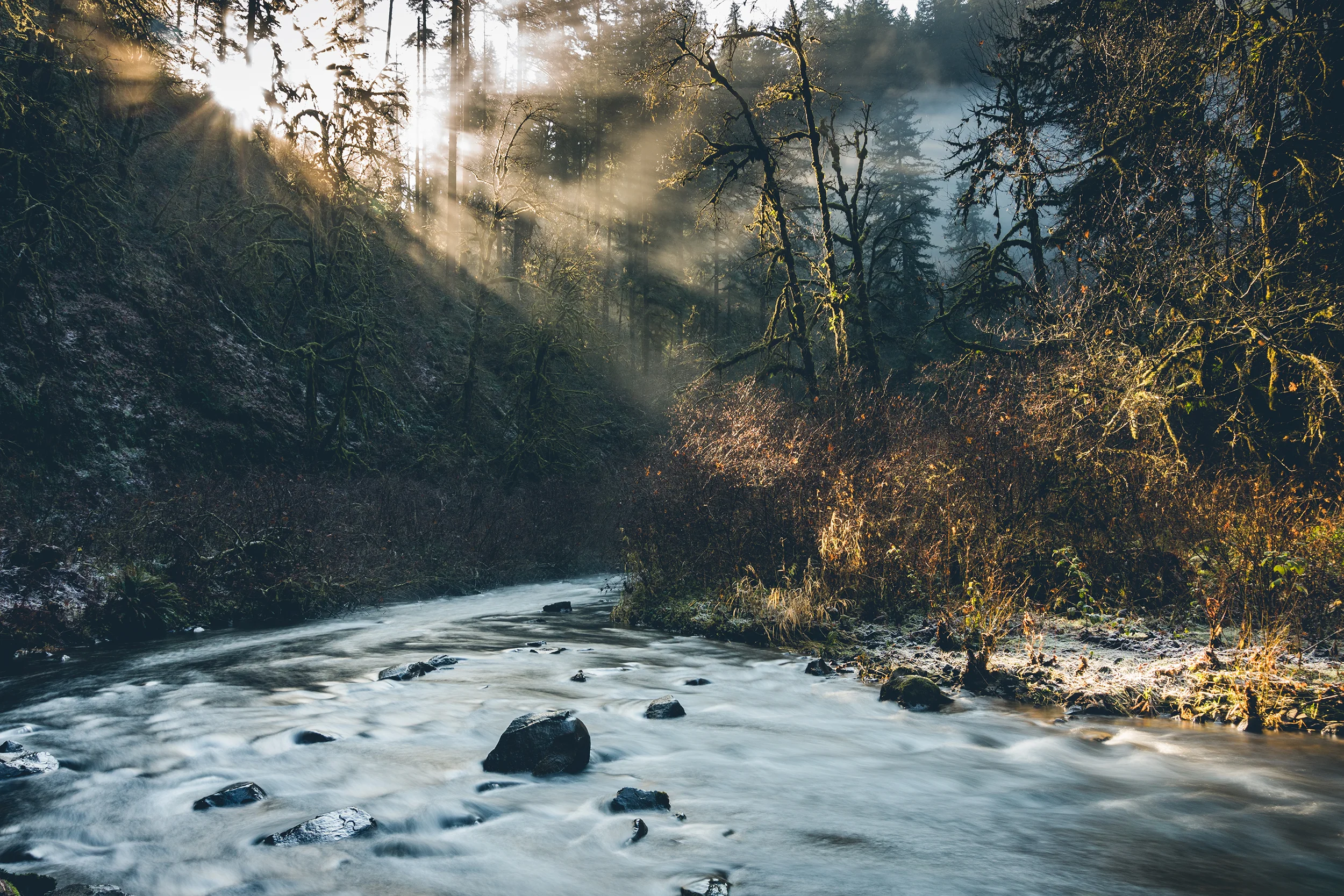 Silver Falls State Park - Silverton, OR