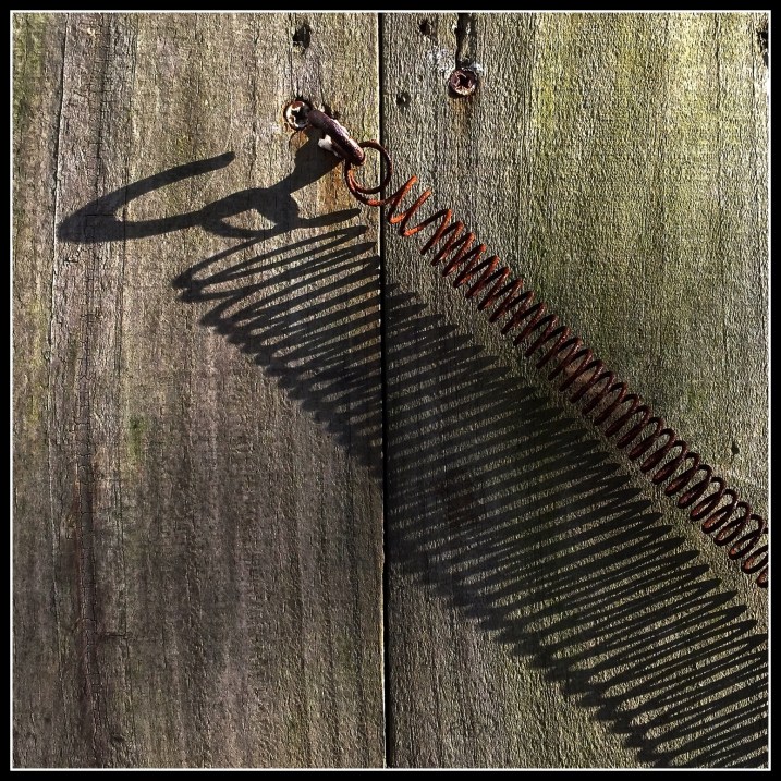фото Bob M ~