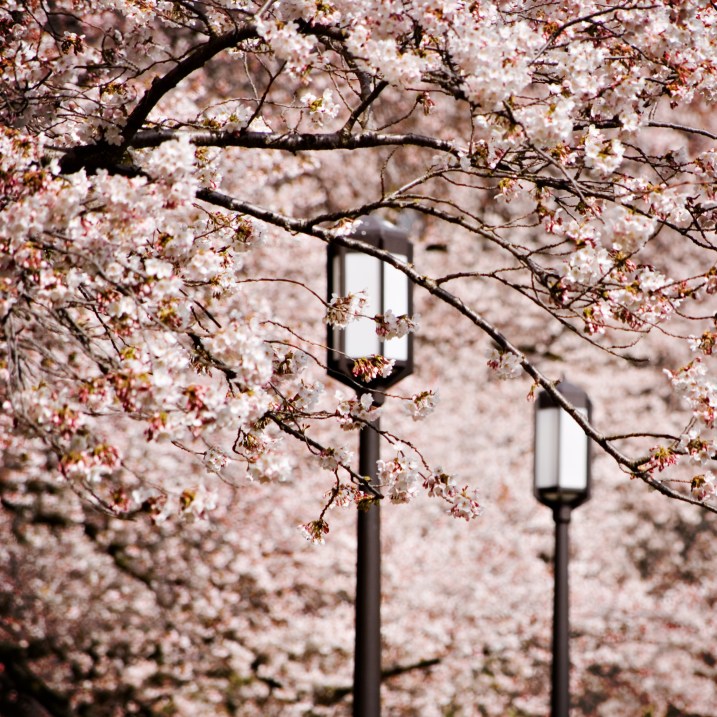 фото Richard Cassan