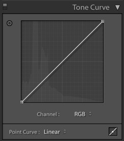 Tone-Curve-Panel.jpg