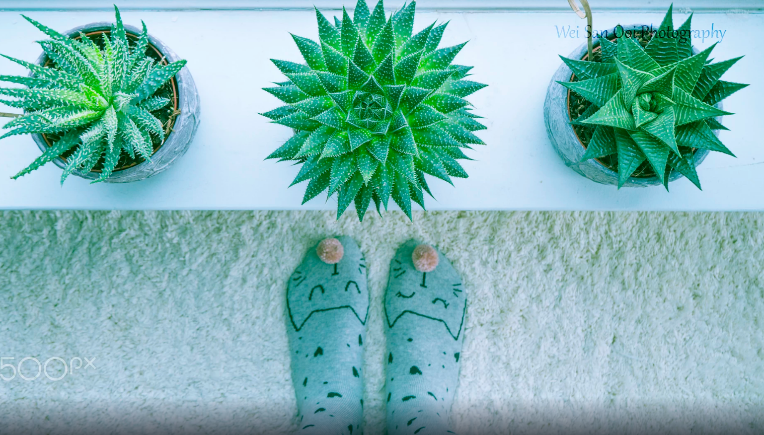 Looking down by Wei San, 500px.com