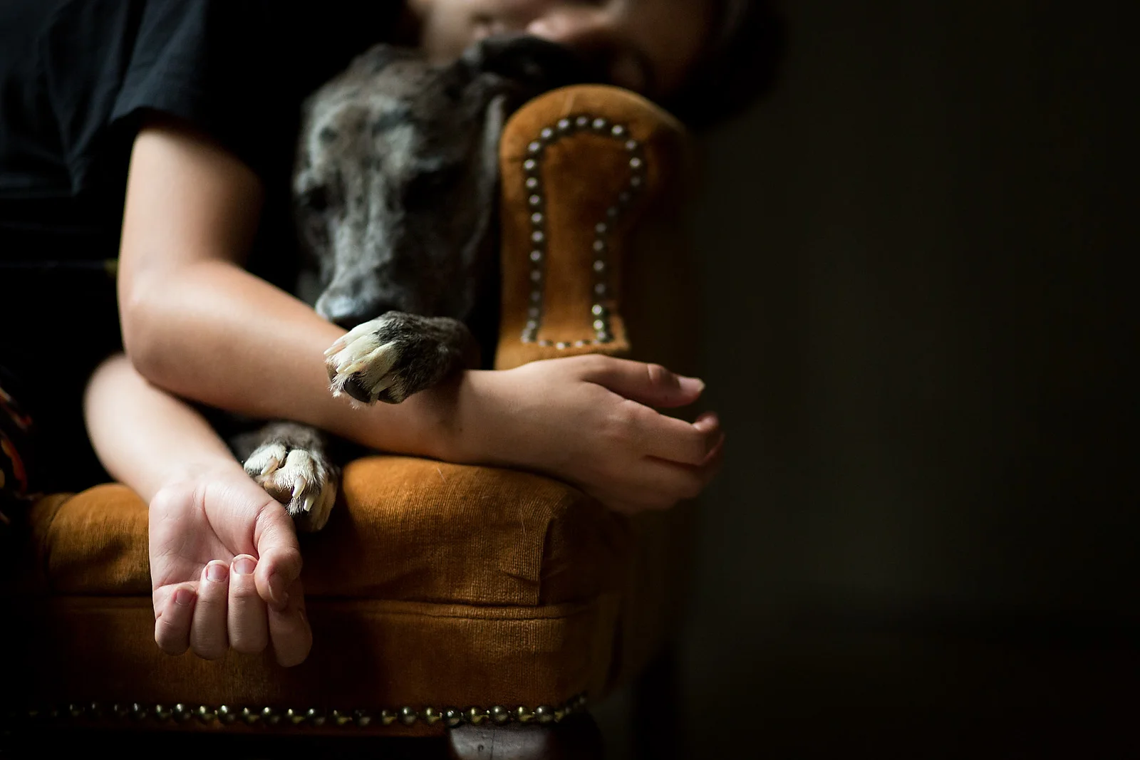 How-to-take-pictures-in-low-light-inside-your-home-by-Celeste-Pavlik-6.jpg