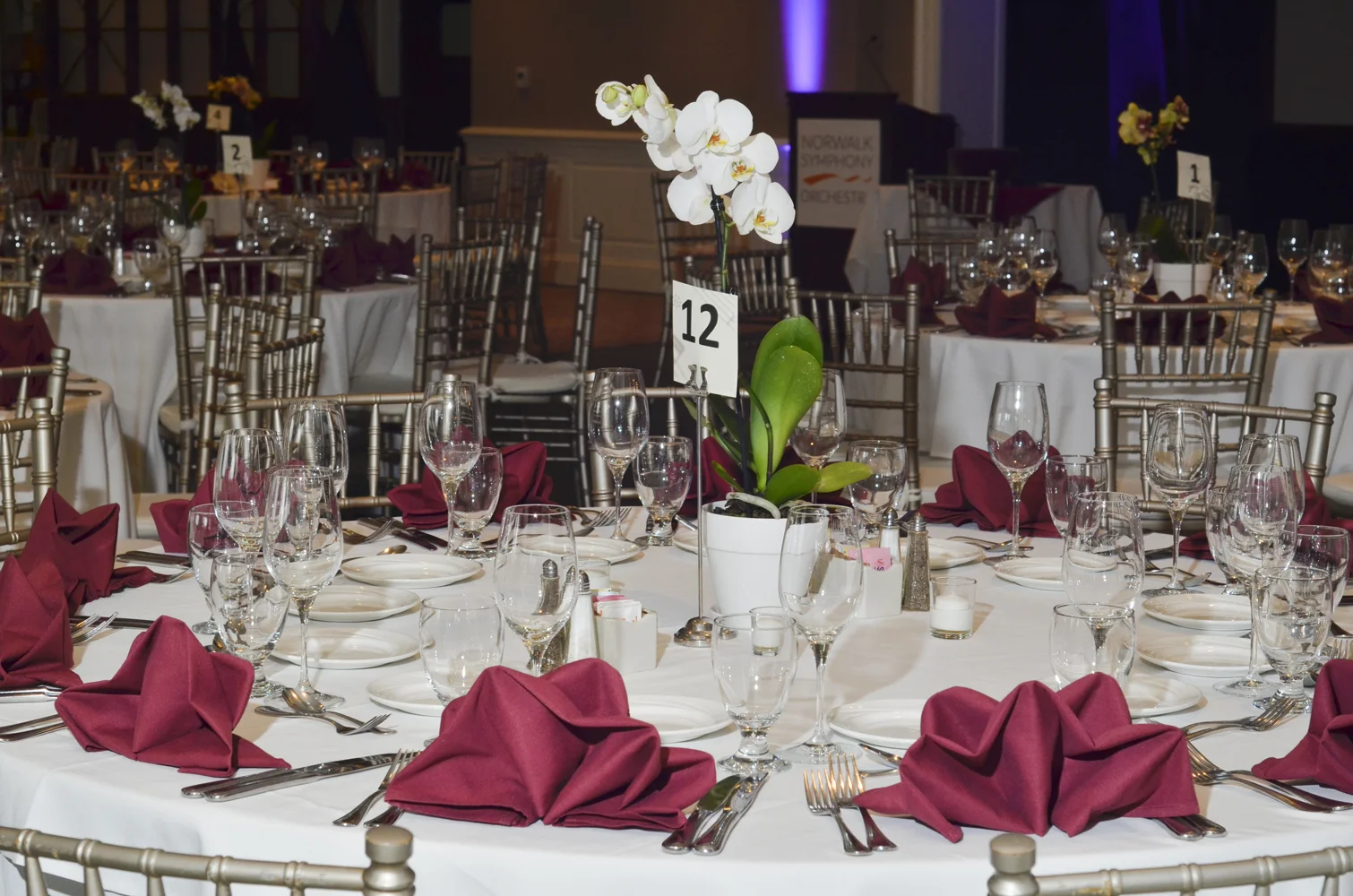 15-NSO_80Gala_004.jpg