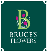 Bruce's Flowers.png