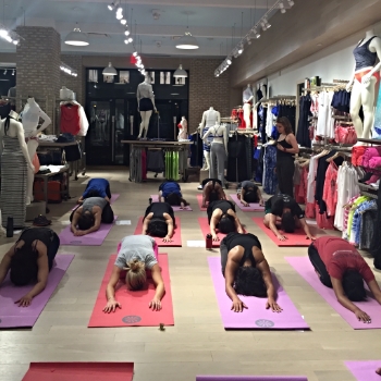 Leading a grounding yoga class.