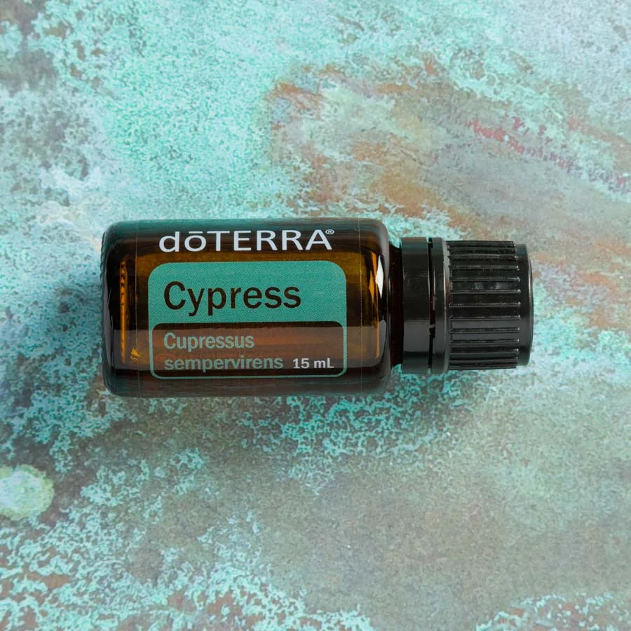 cypress.jpg
