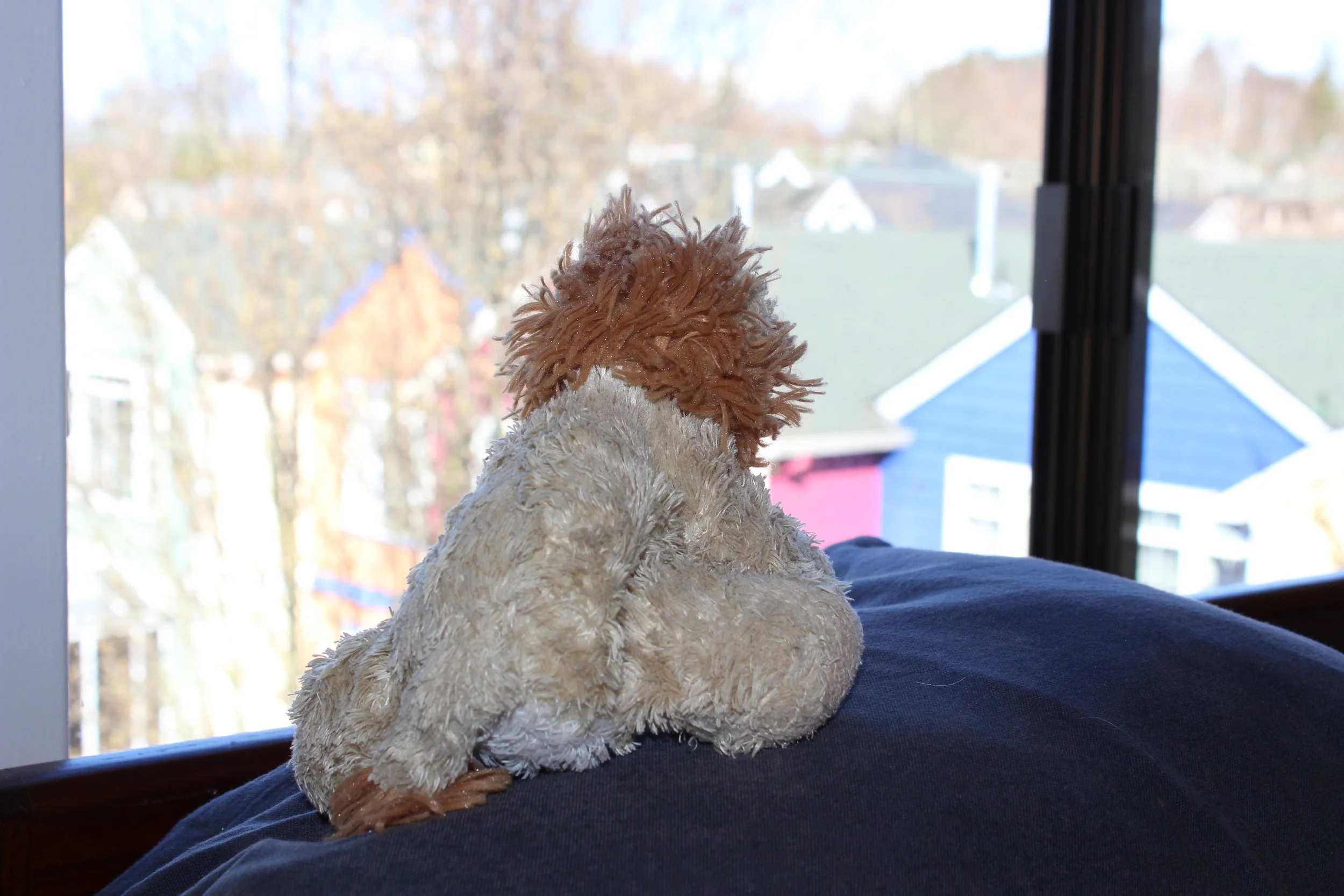 During the day, Leo usually looks out the window. He can see buildings and trees.