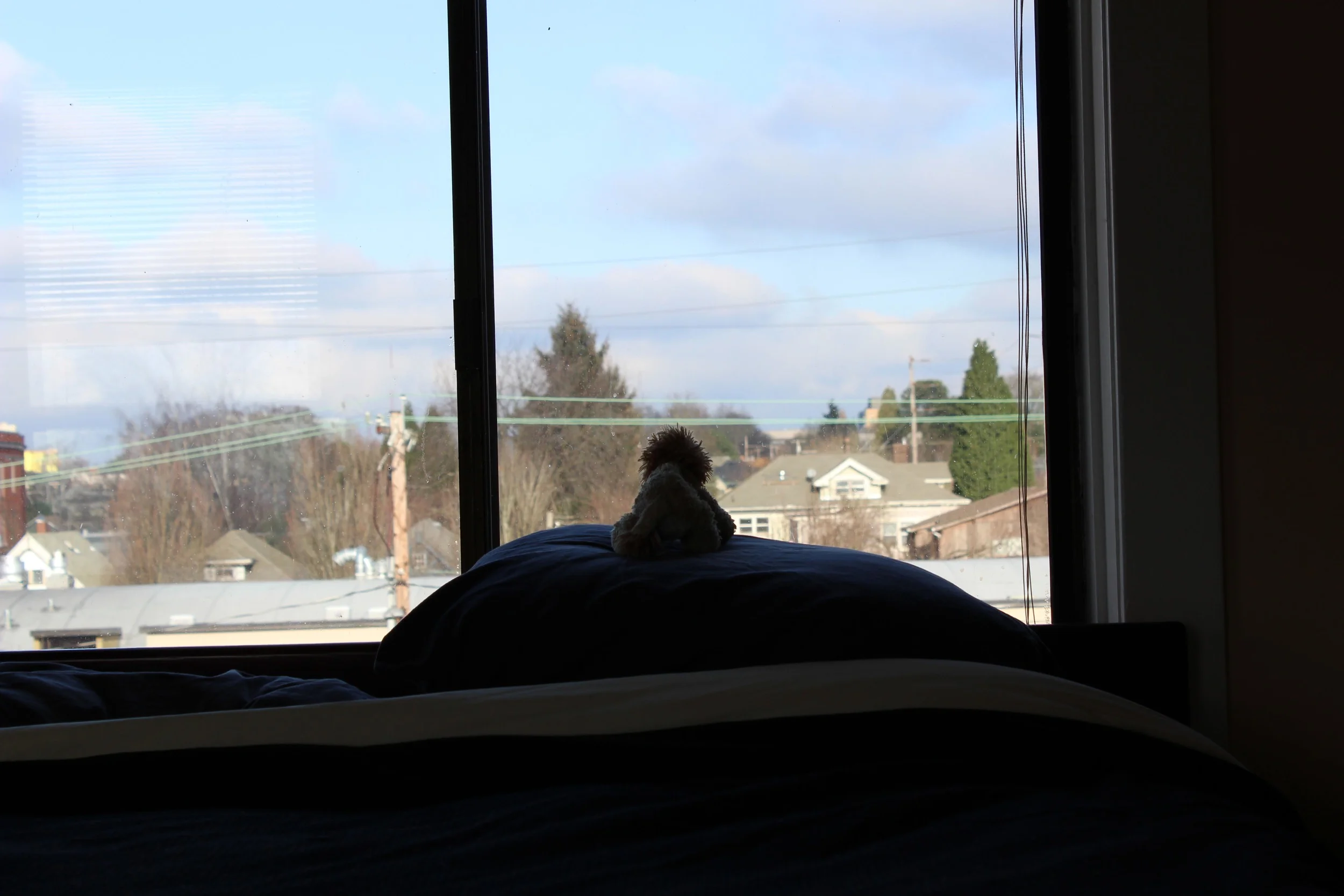 Leo can see the sky.