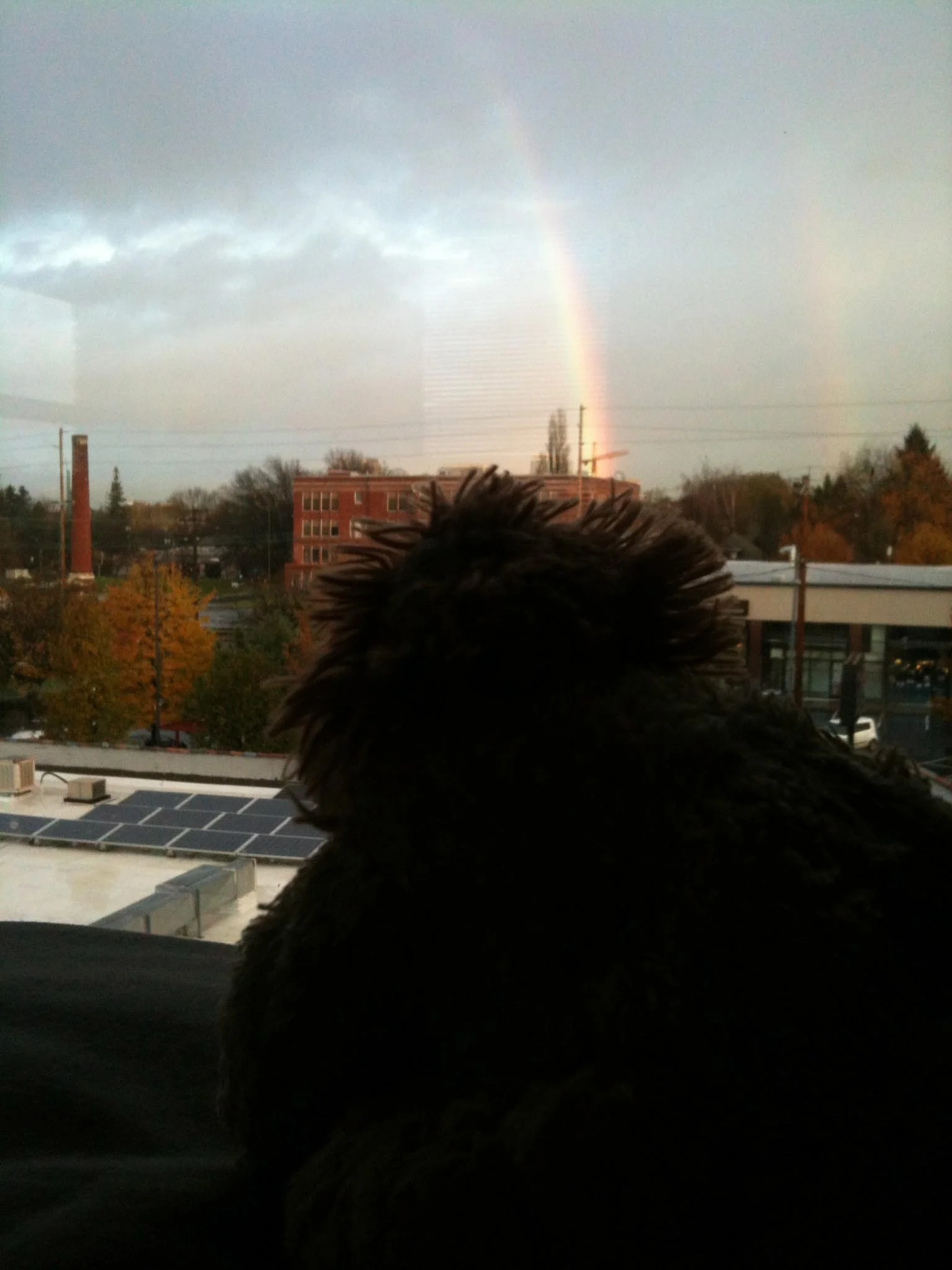 Sometimes, Leo can see rainbows.