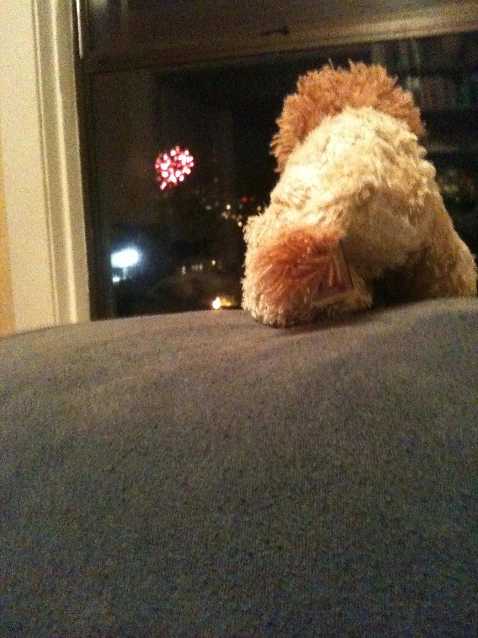 Sometimes, Leo can watch fireworks.