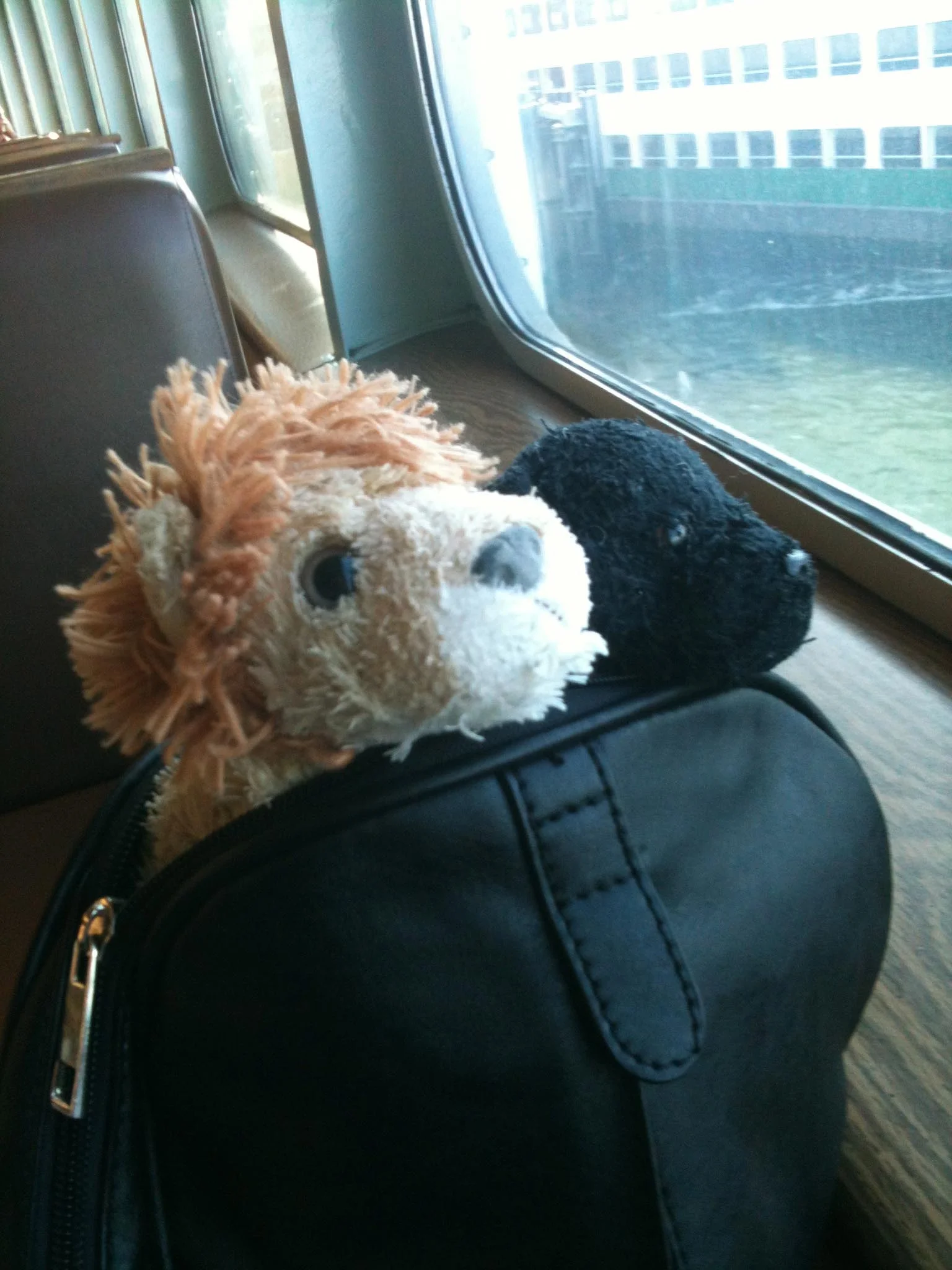 Sometimes Leo and Hermes travel together.