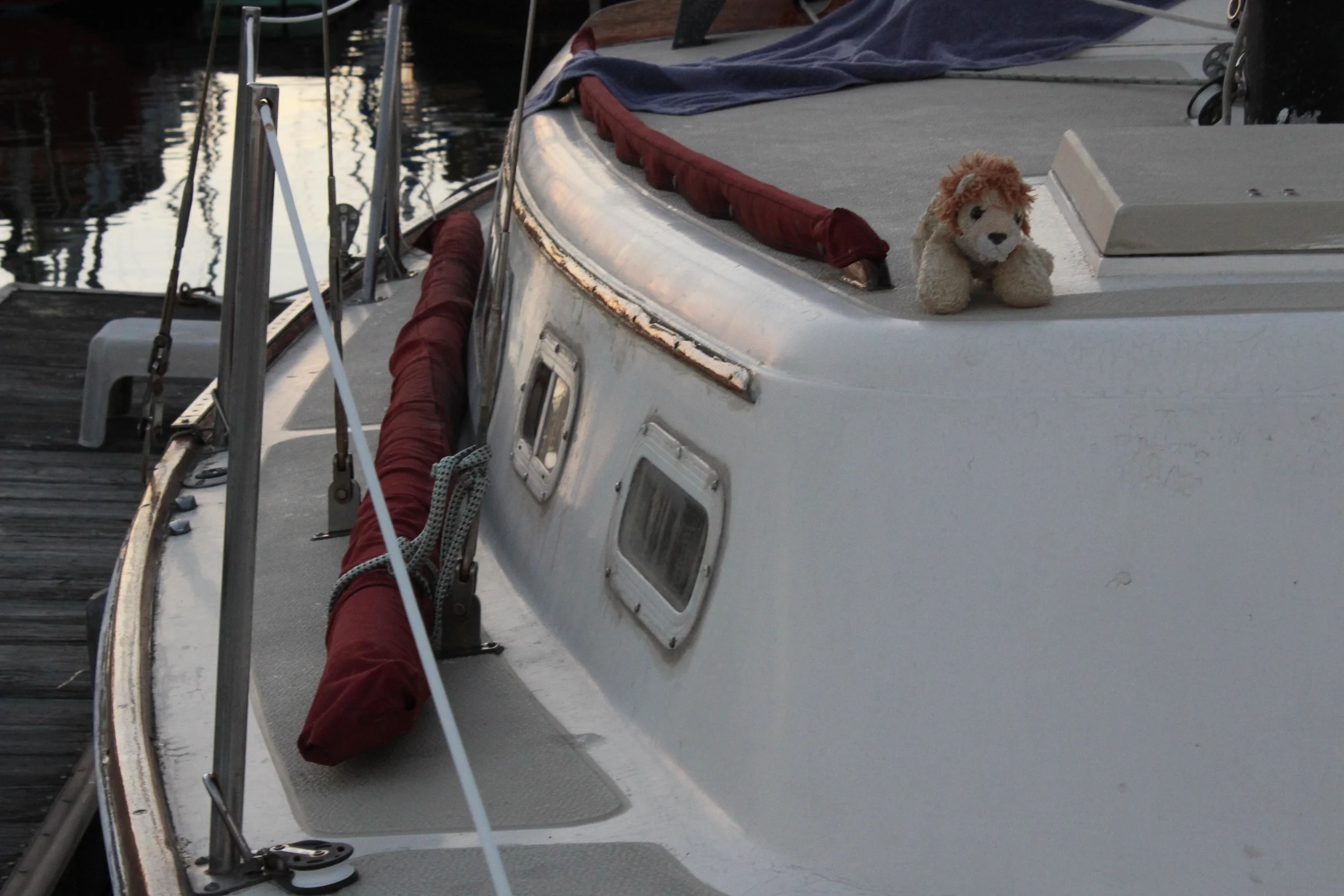 Sometimes, Leo travels by himself.