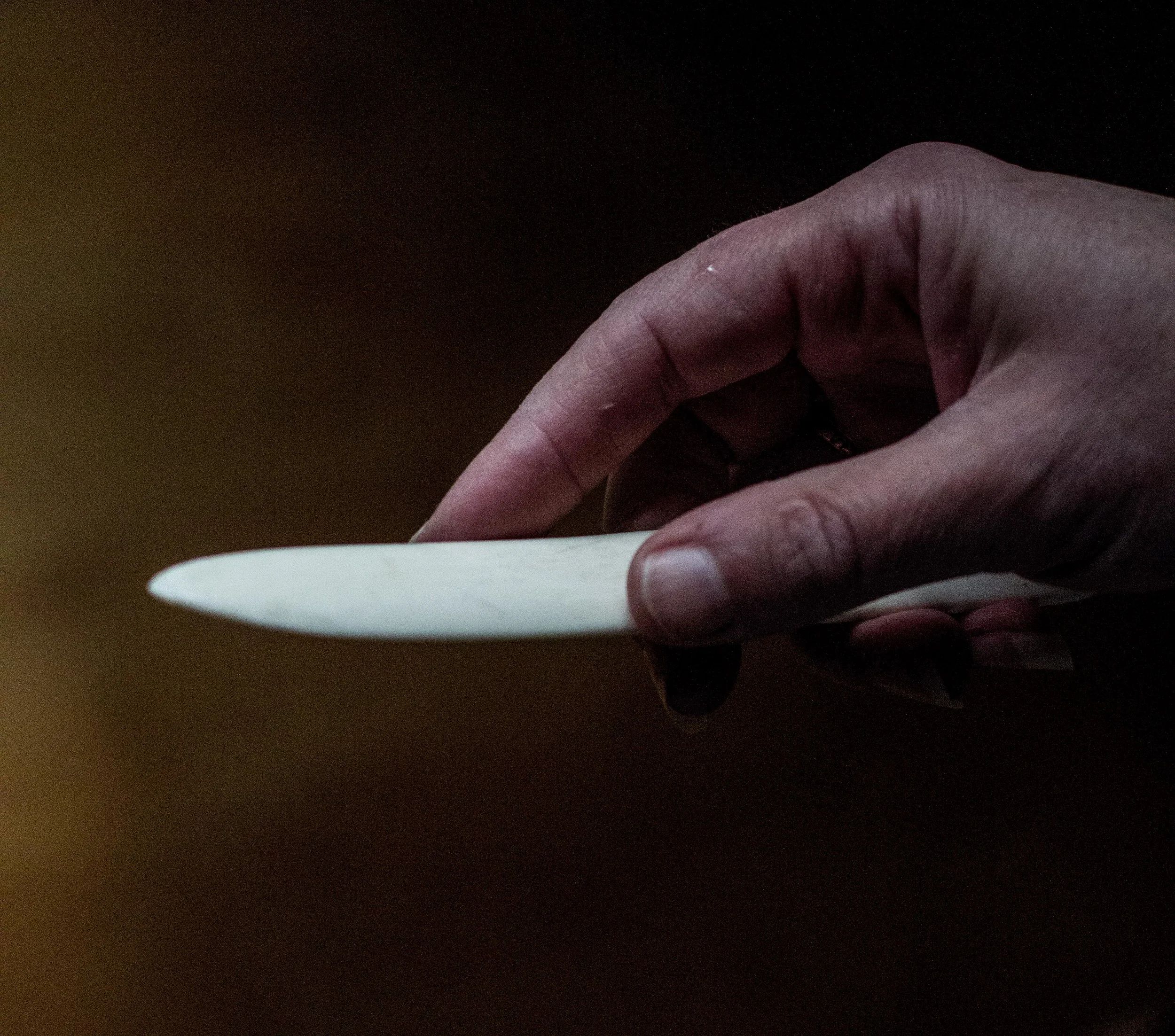 Bone folder