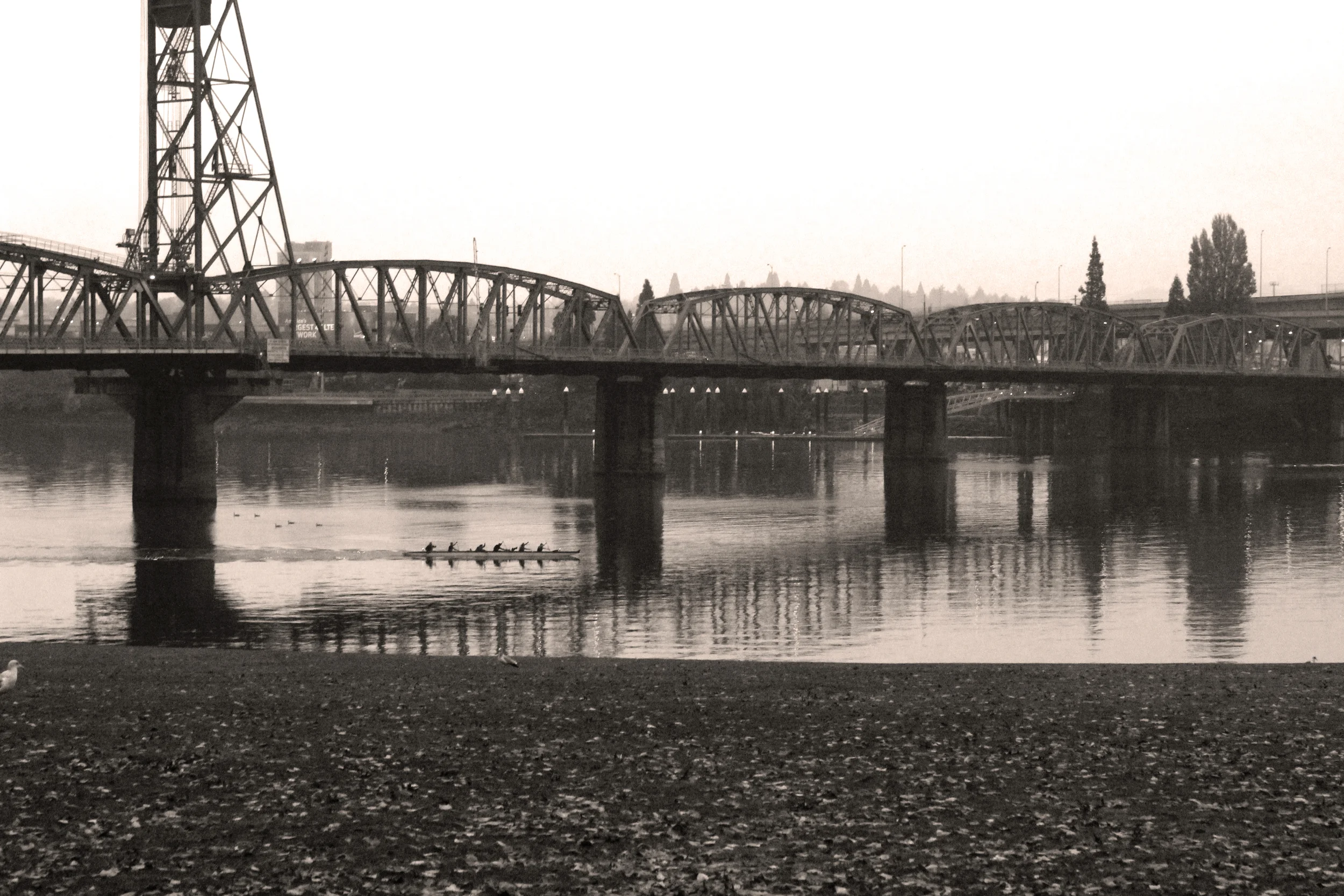 Hawthorne Bridge with Rowers