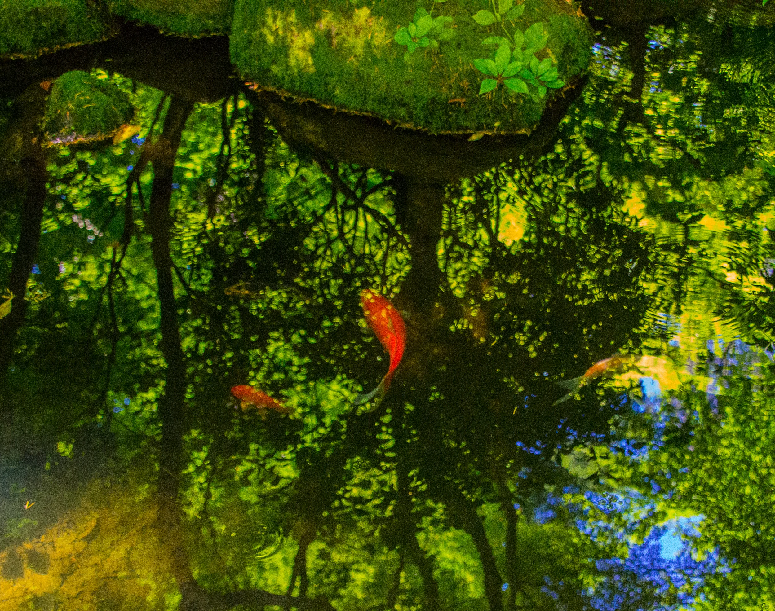 japanese garden RETOUCH (2 of 13).jpg