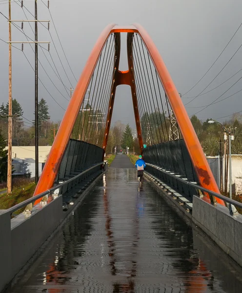 McLoughlin Boulevard Pedestrian Bridge
