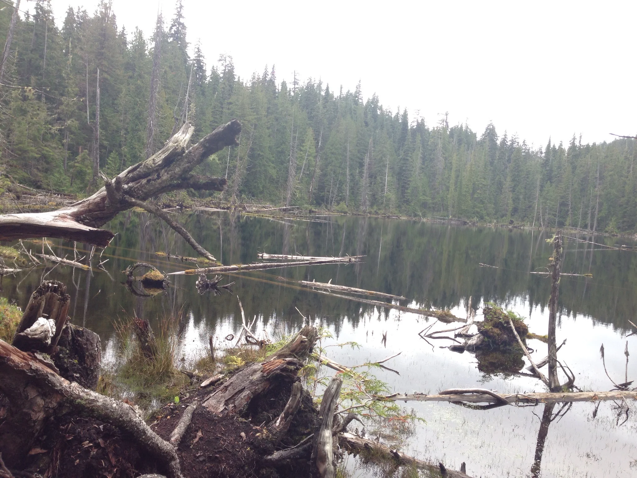 Spirit Lake. Nice one, nature!