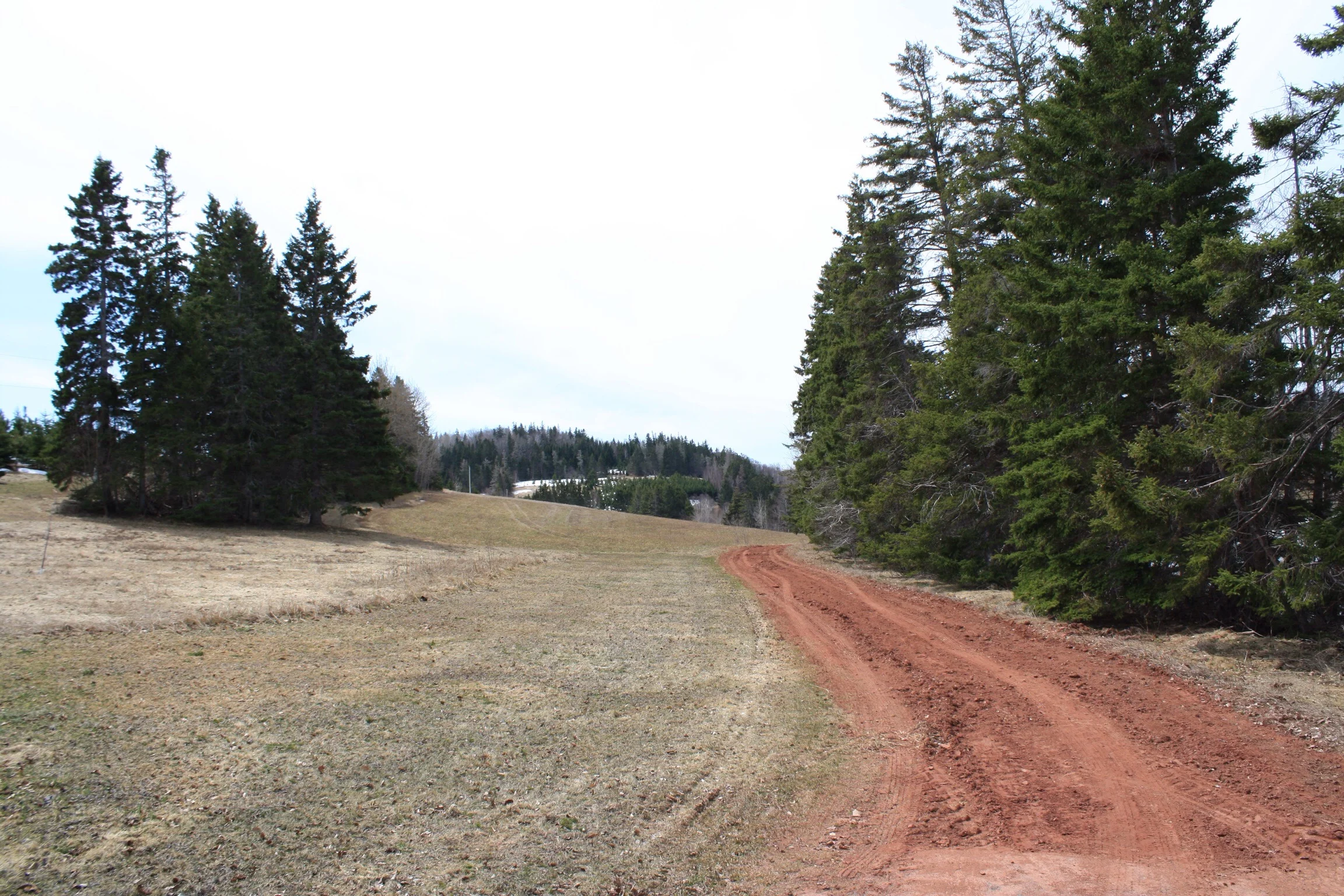Going down the Road