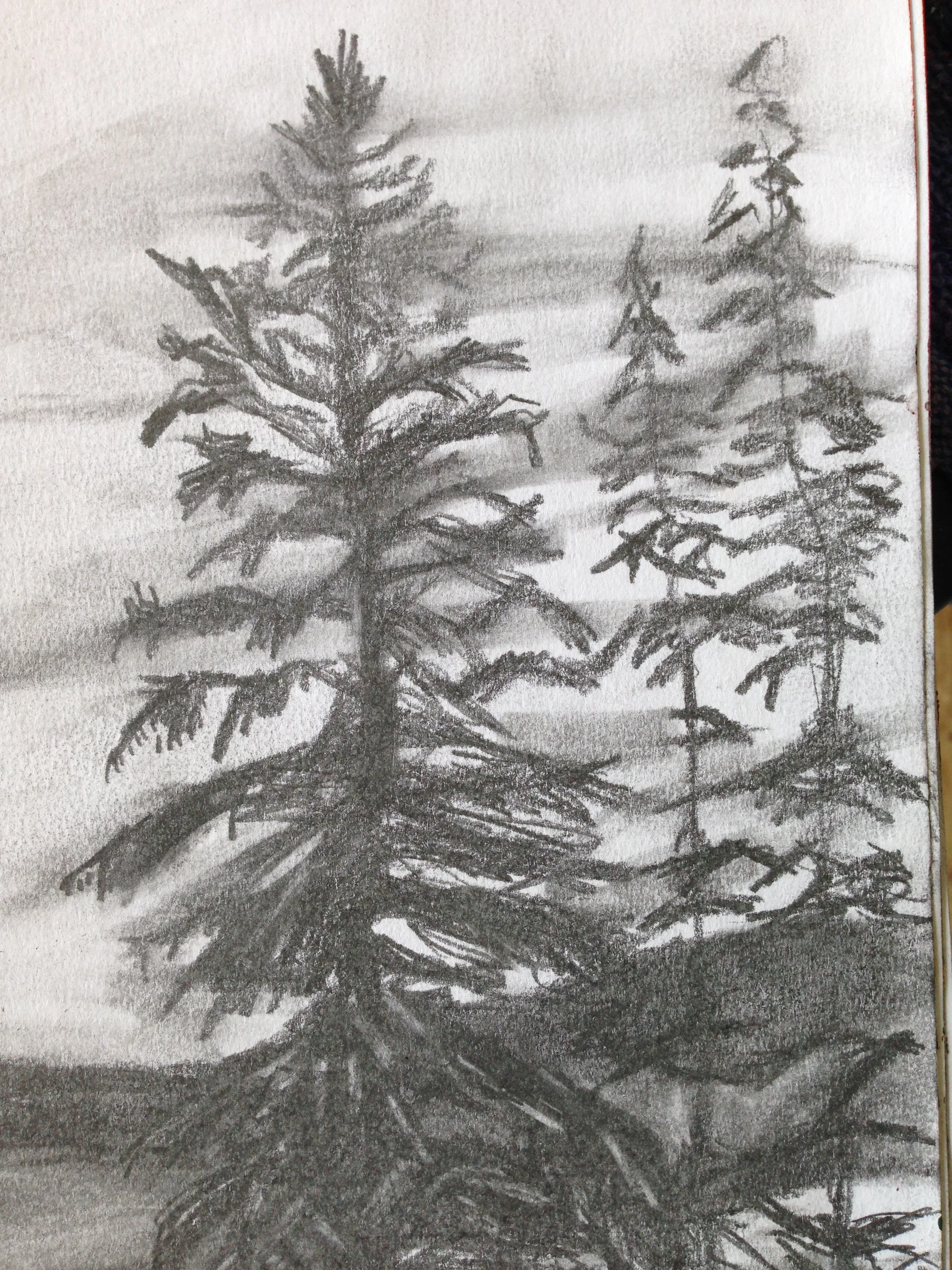 Trees